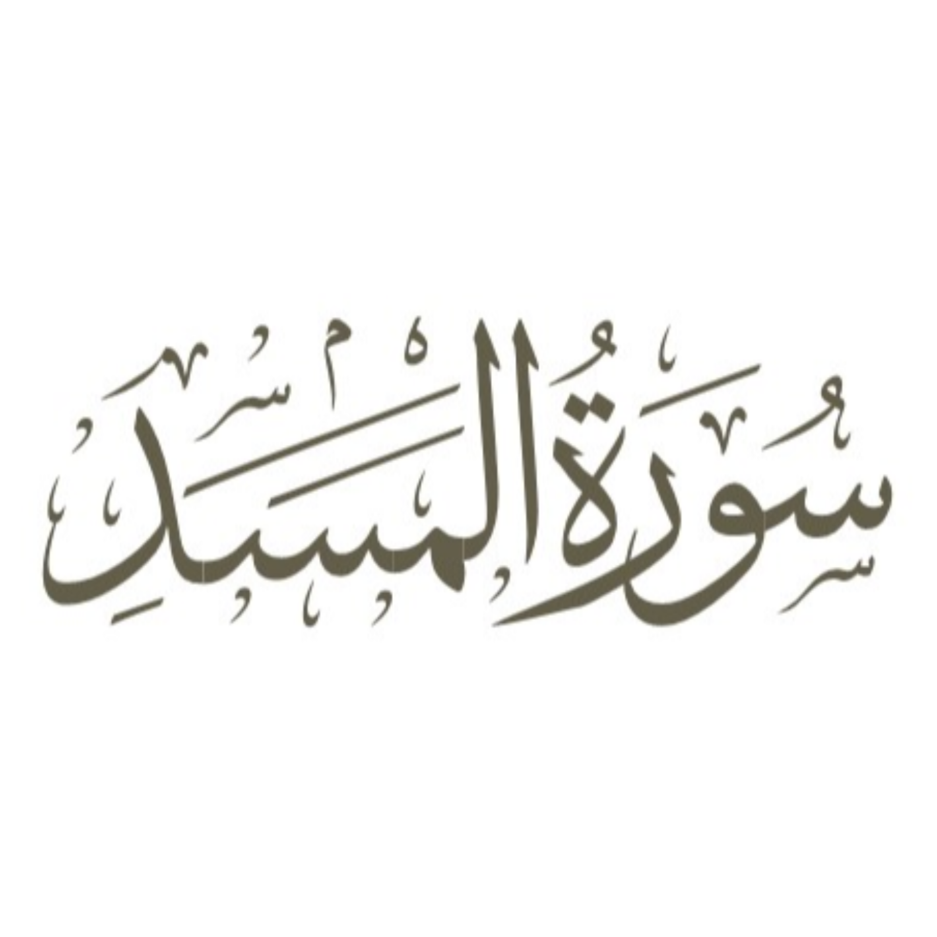 کاور توضیحات لغوی-ادبی سوره مسد (تبت
