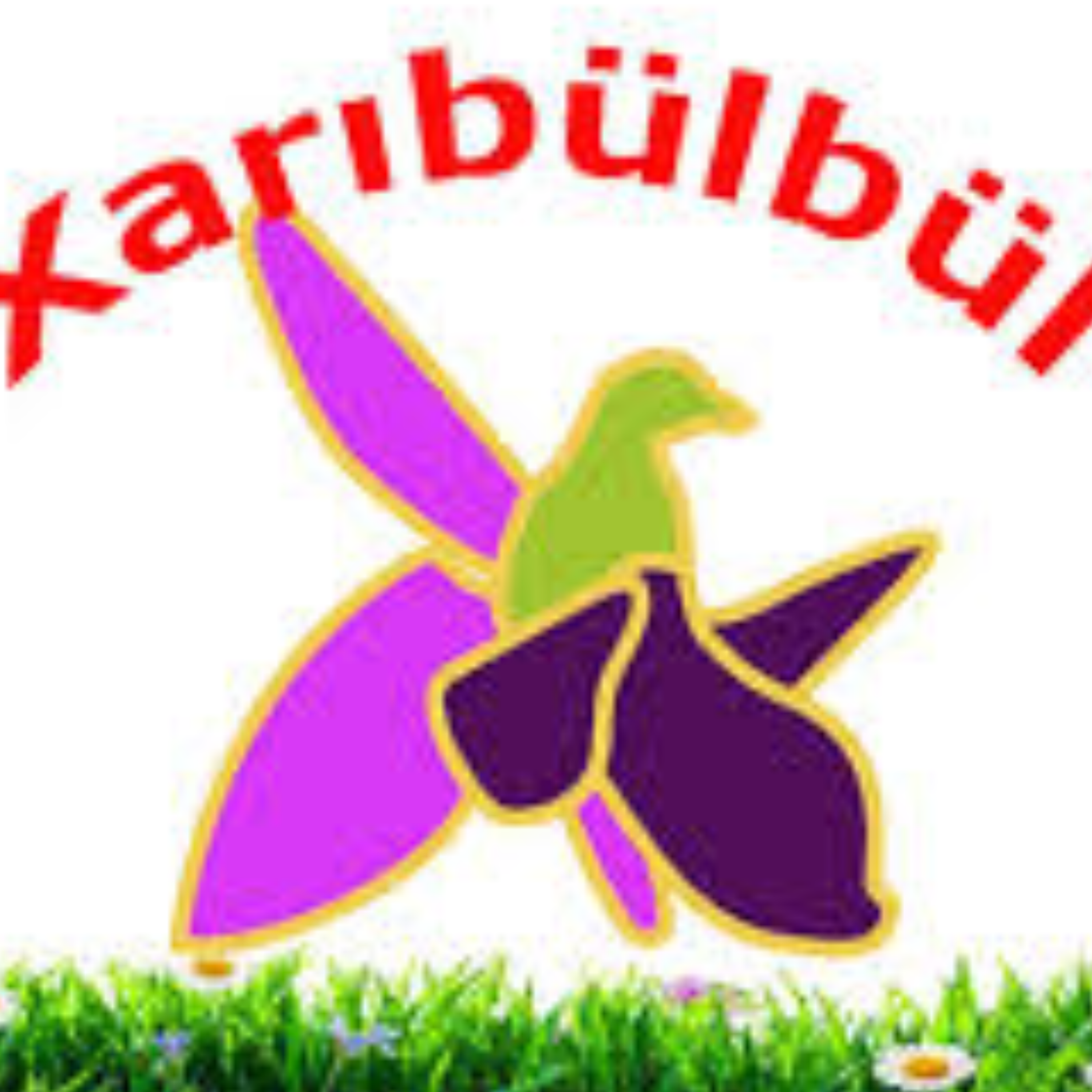 کاور دان اولدوزو