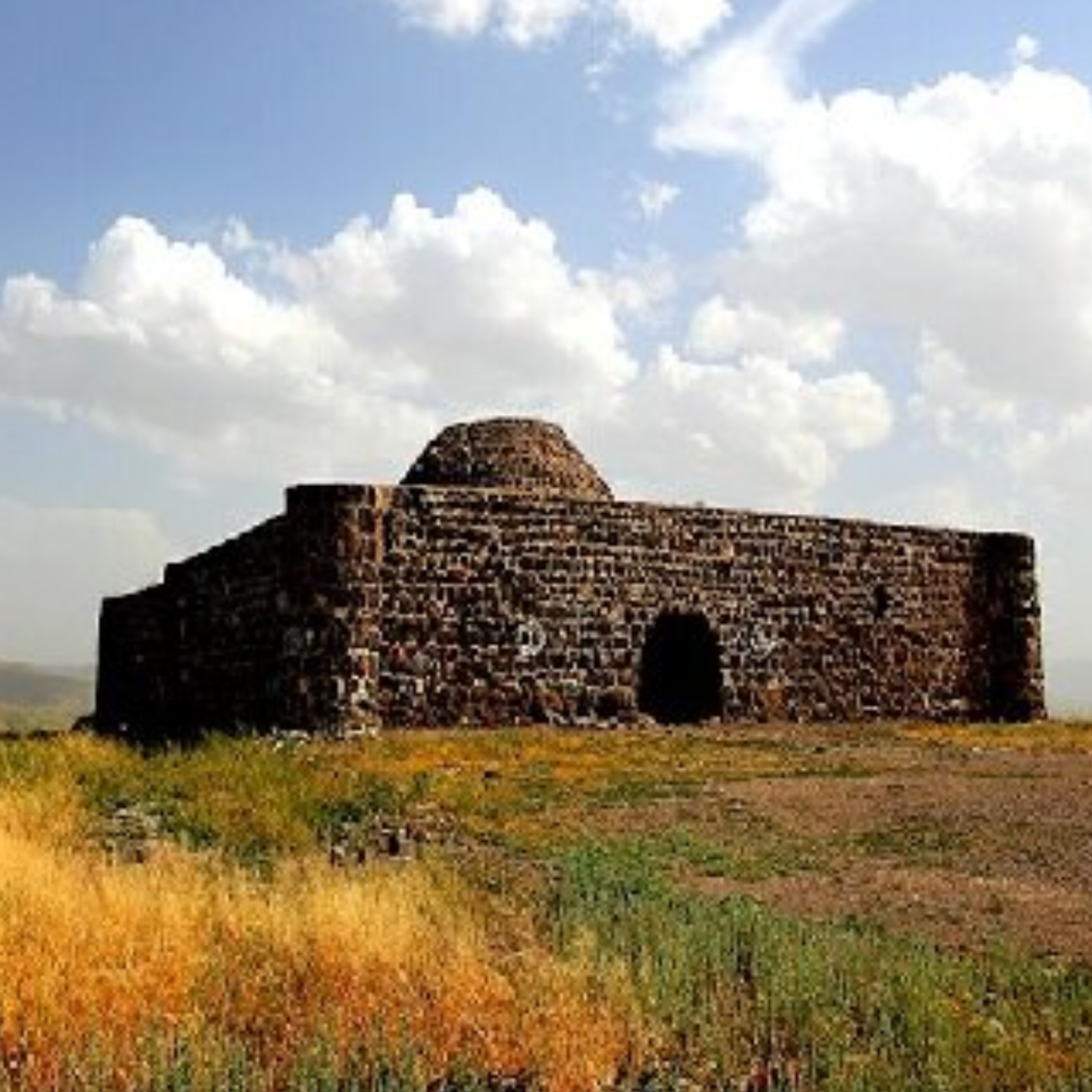 کاور mehriban fathi