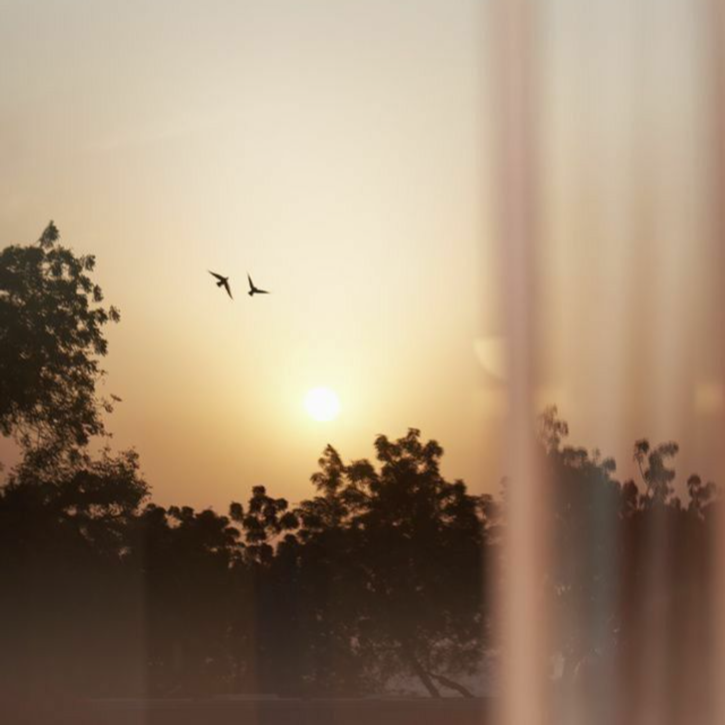 کاور 9:01