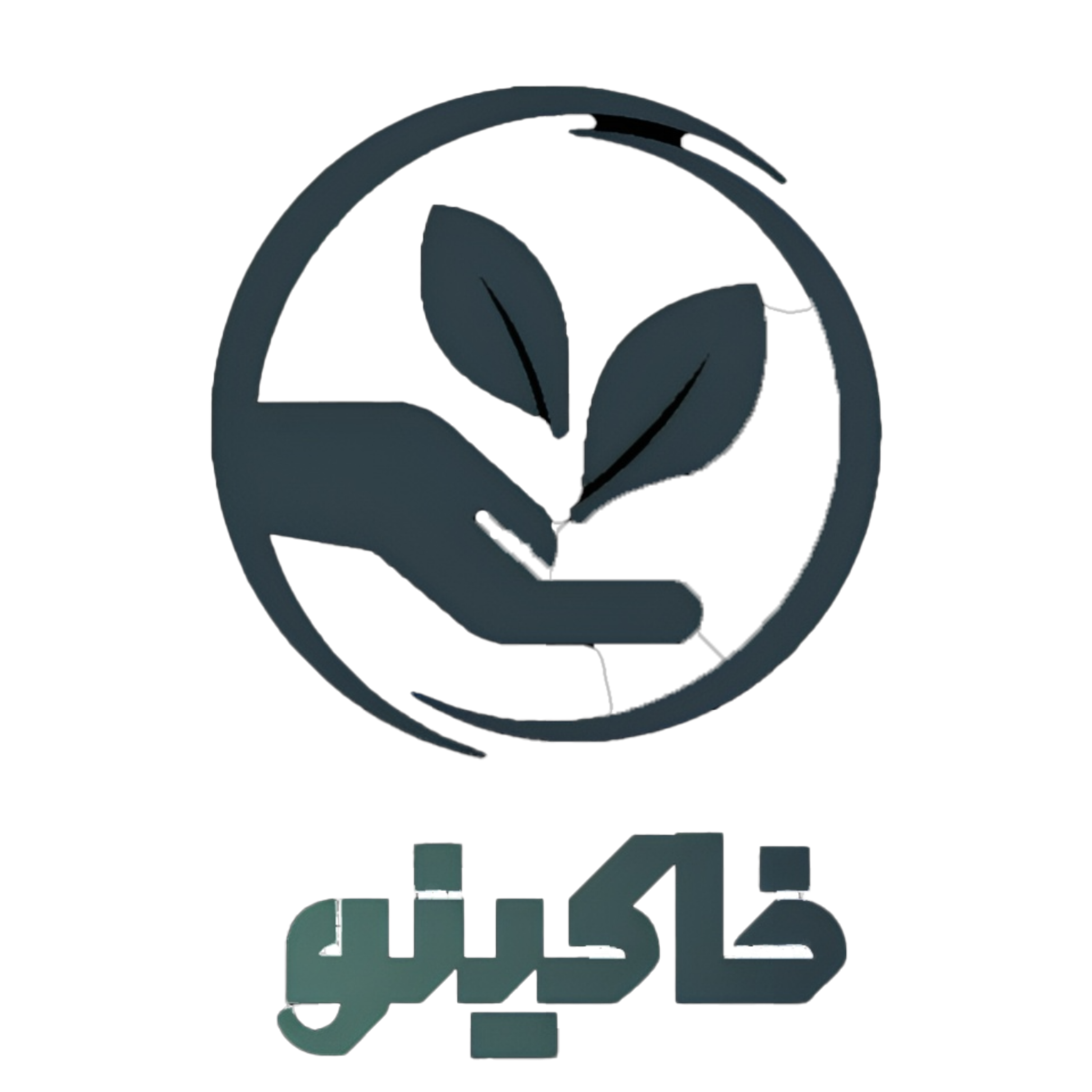 کاور خاکینو
