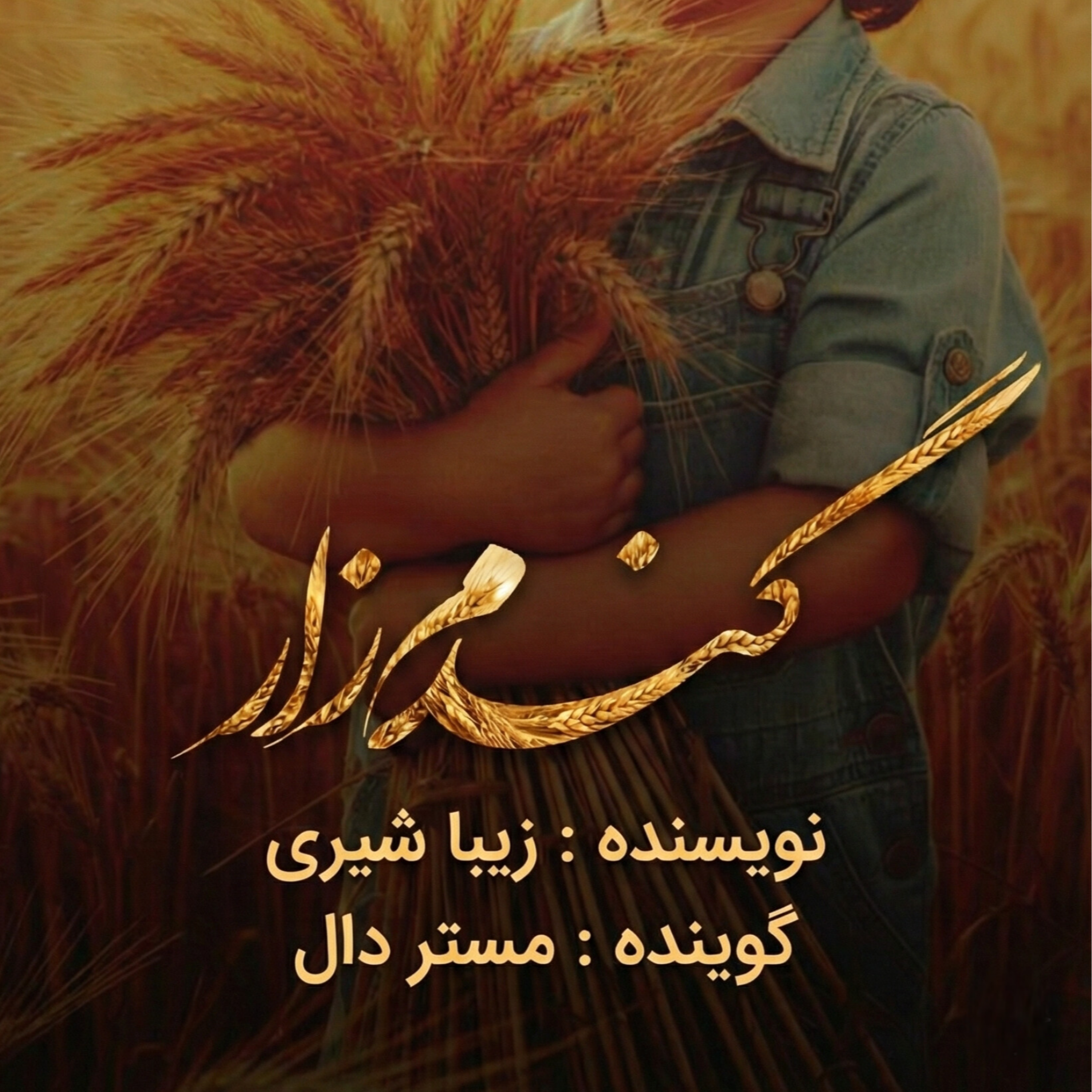 کاور گندم زار