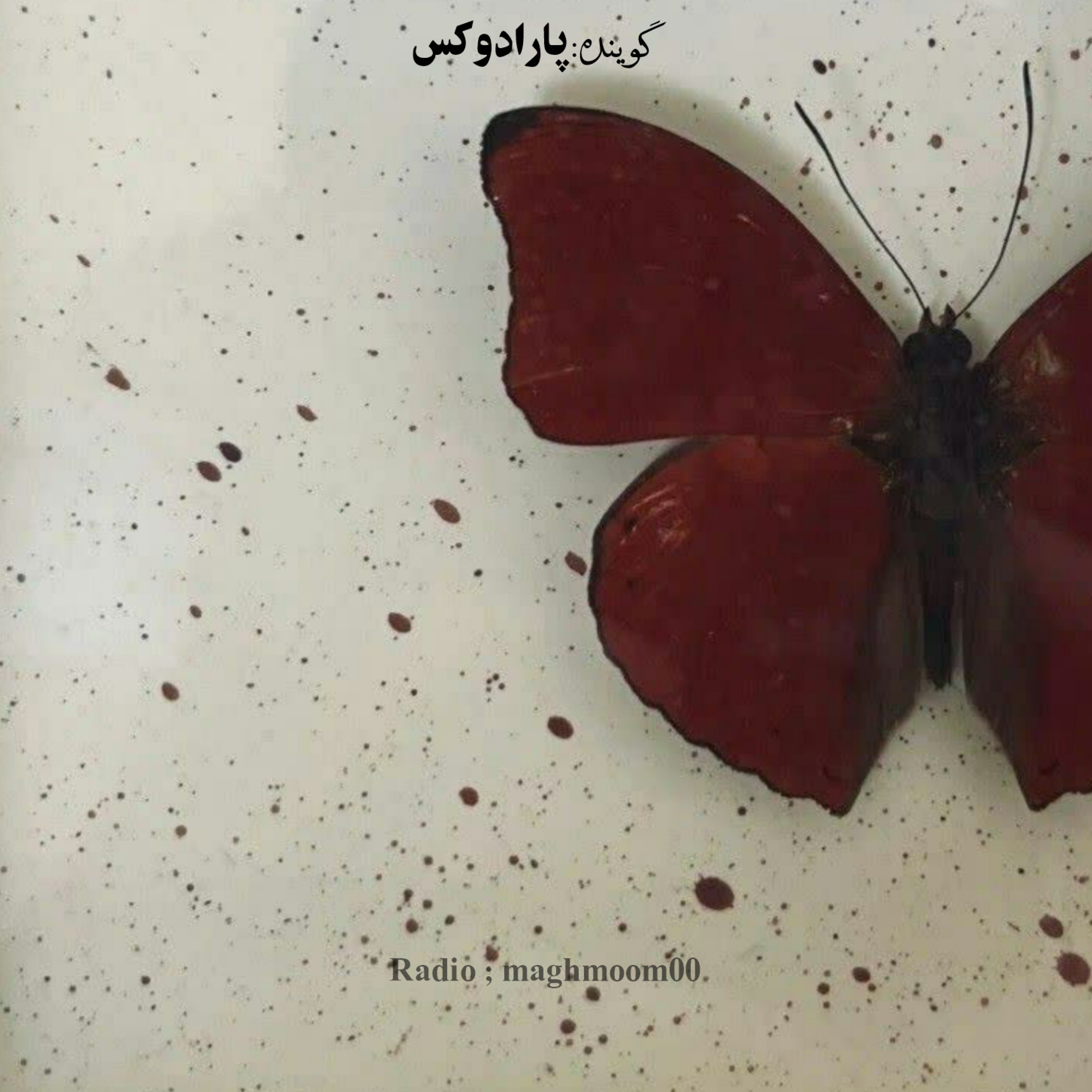 کاور مغموم