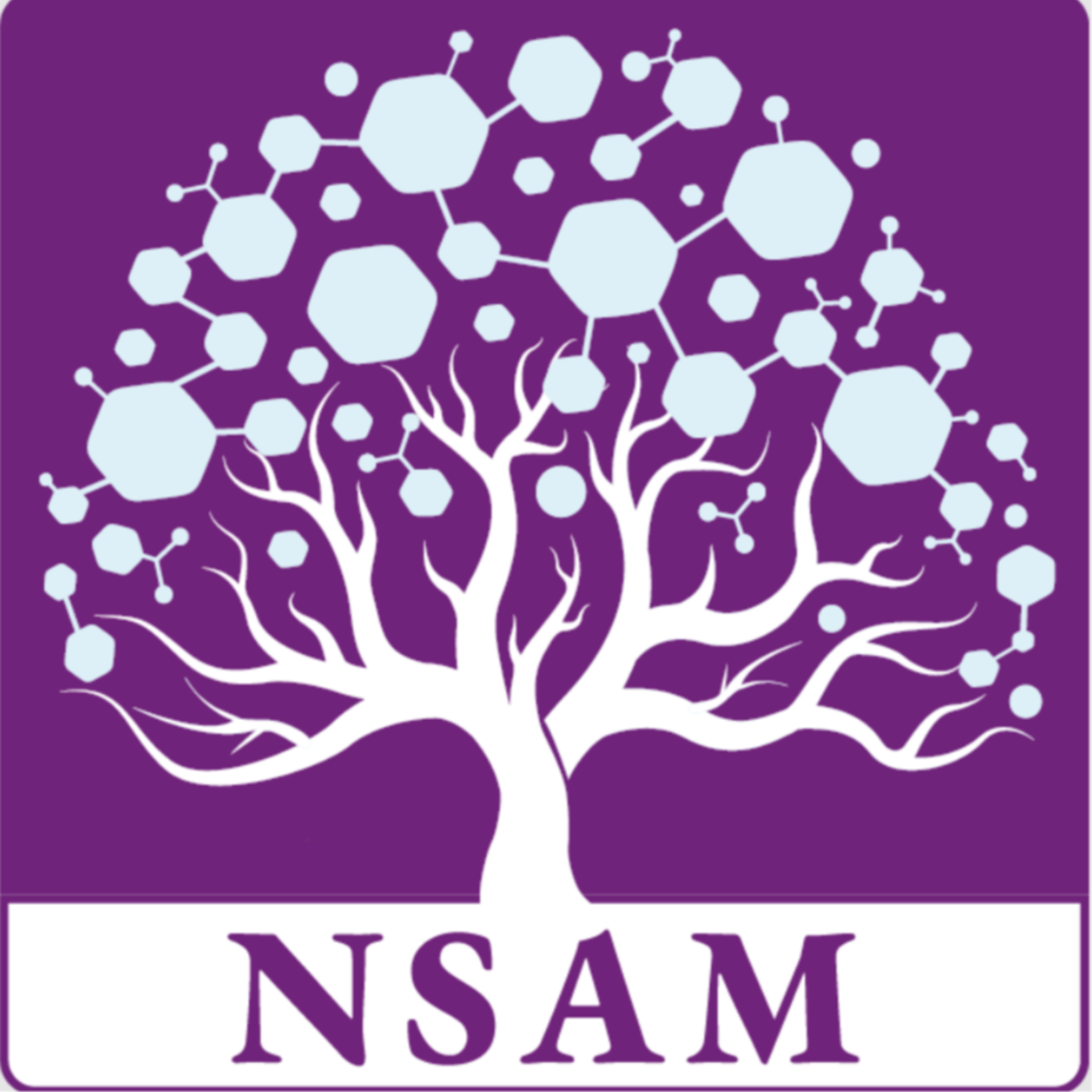 کاور NSAM Podcast