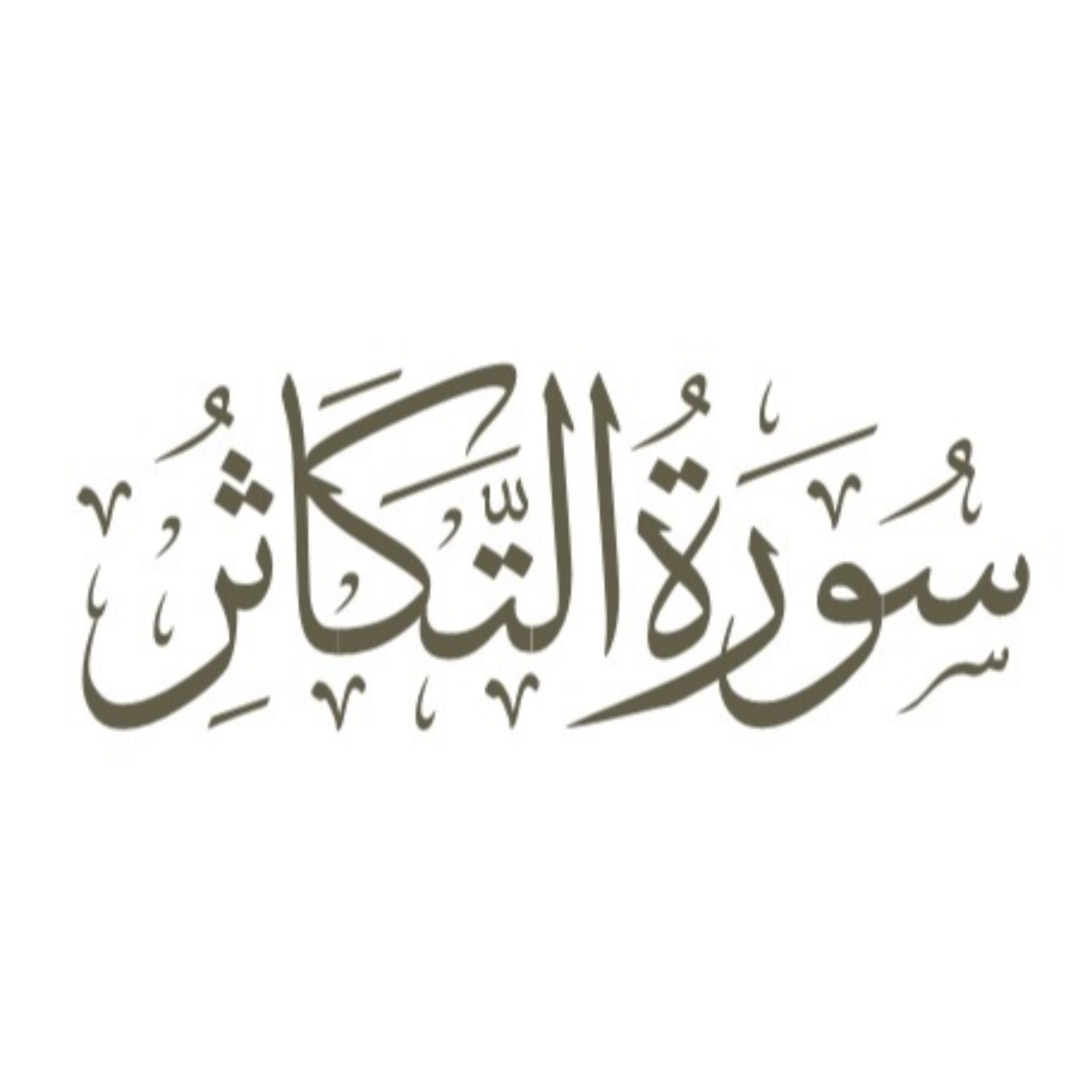 کاور توضیح لغوی ادبی سوره تکاثر