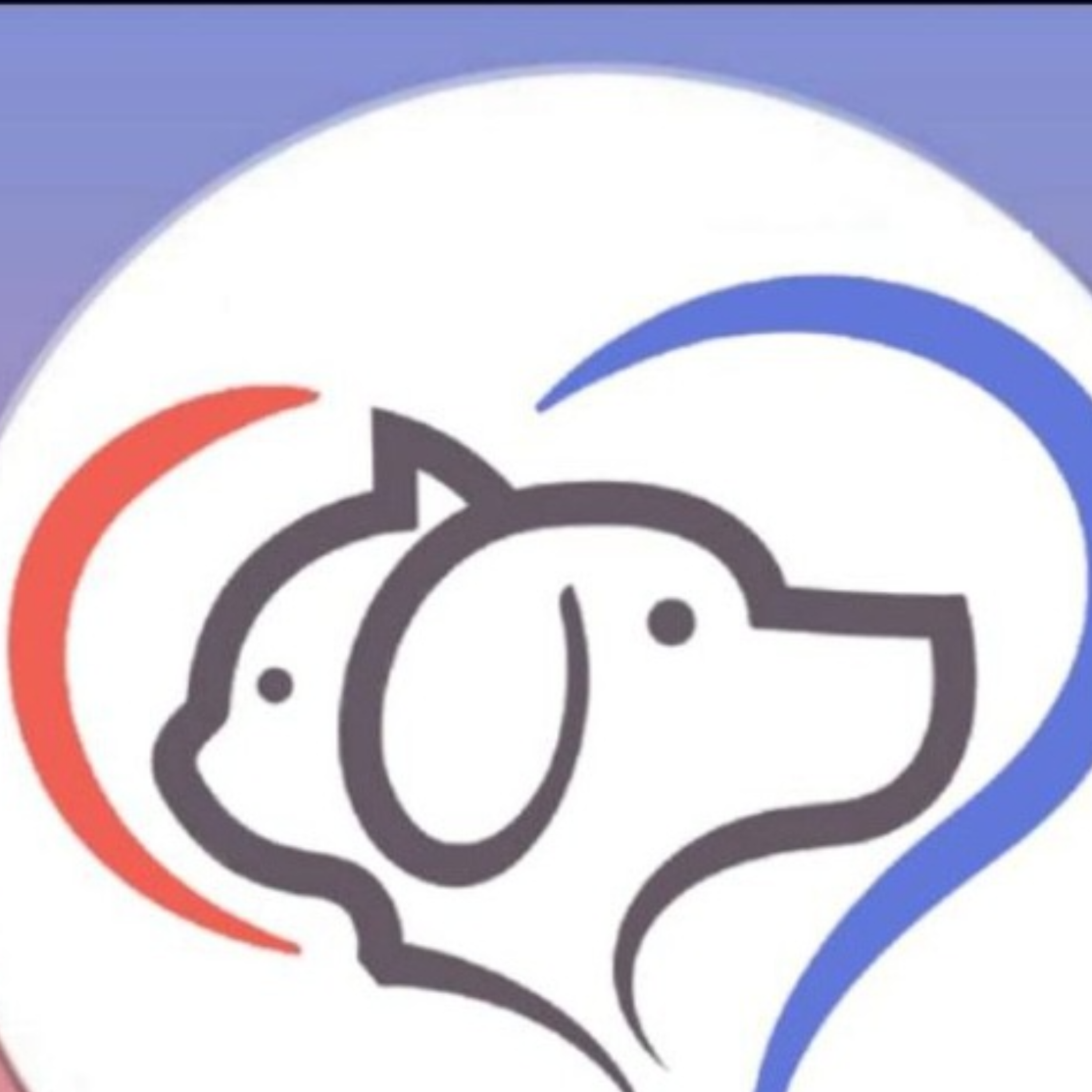 کاور پت شاپ رابینسه