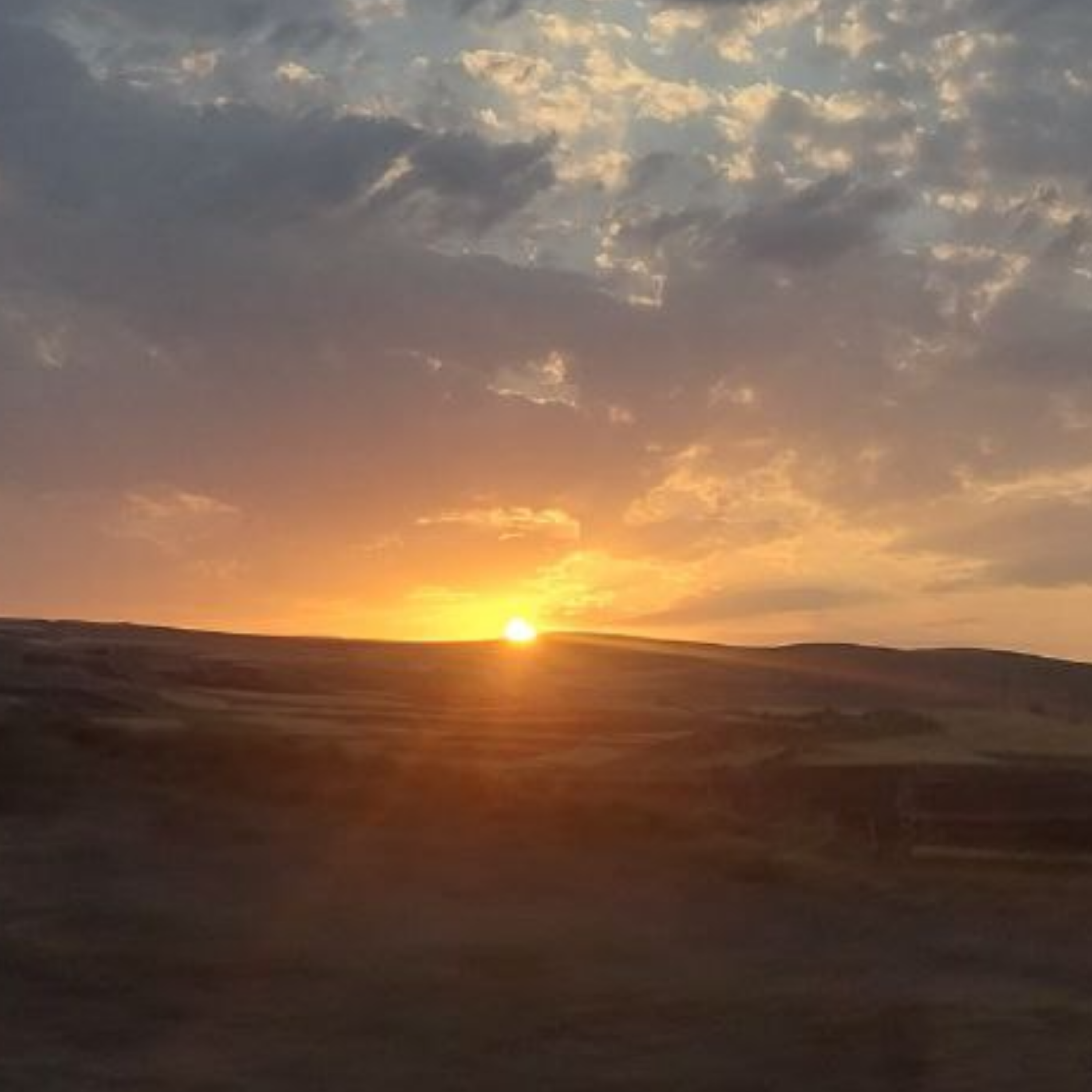 کاور درحاشیه فکر