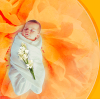 ذریه طیبه