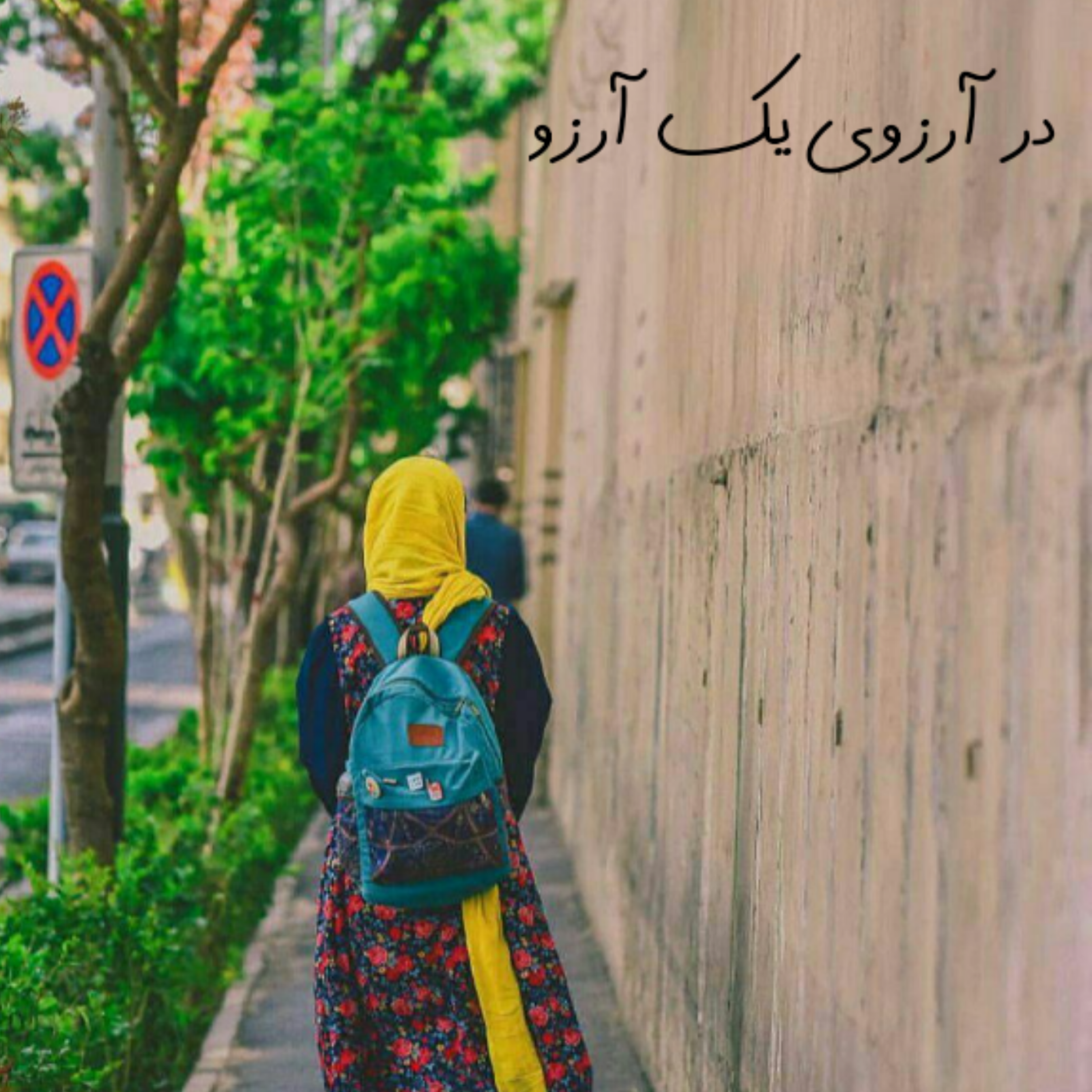 کاور کتاب صوتی در آرزوی یک آرزو