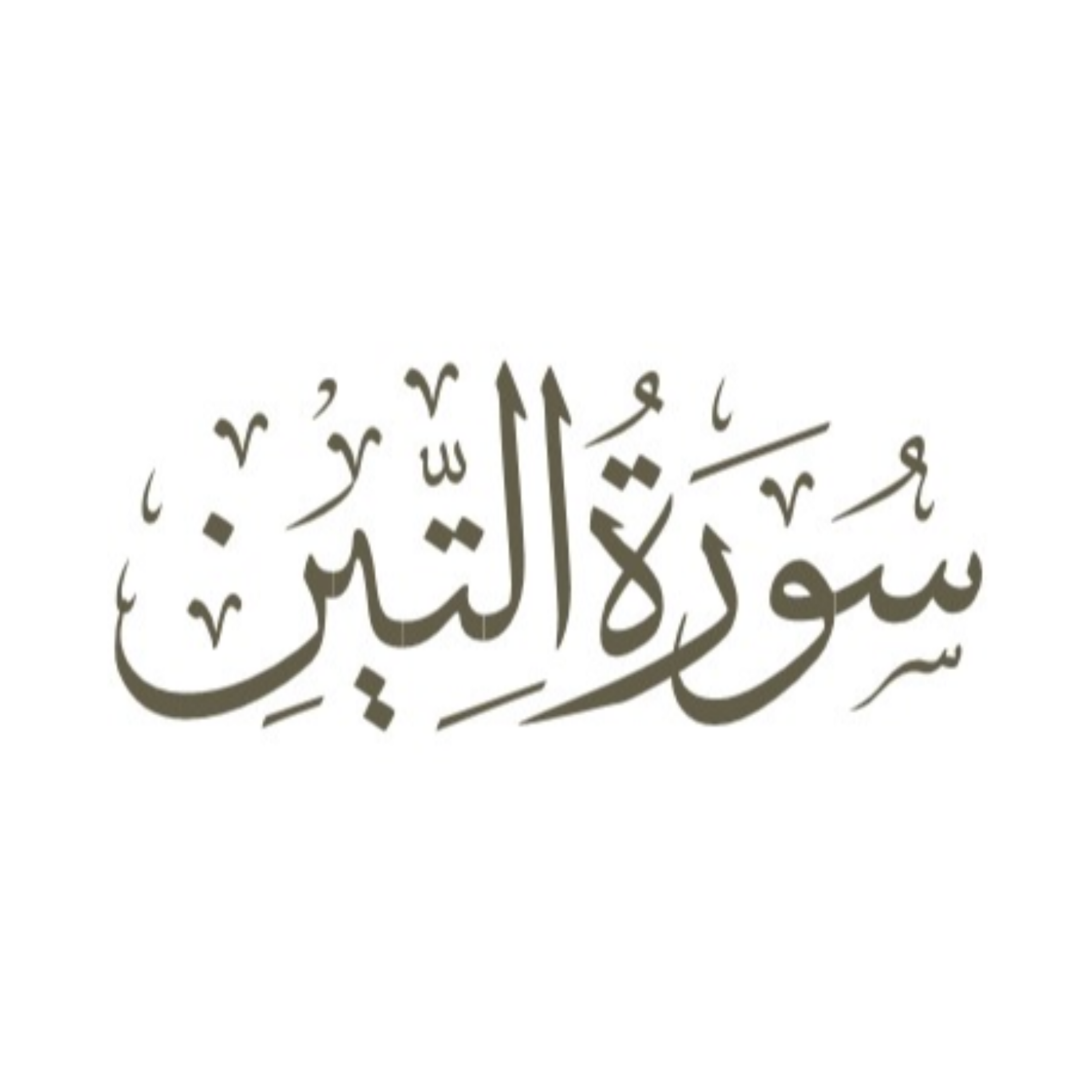 کاور توضیح لغوی ادبی سوره تین