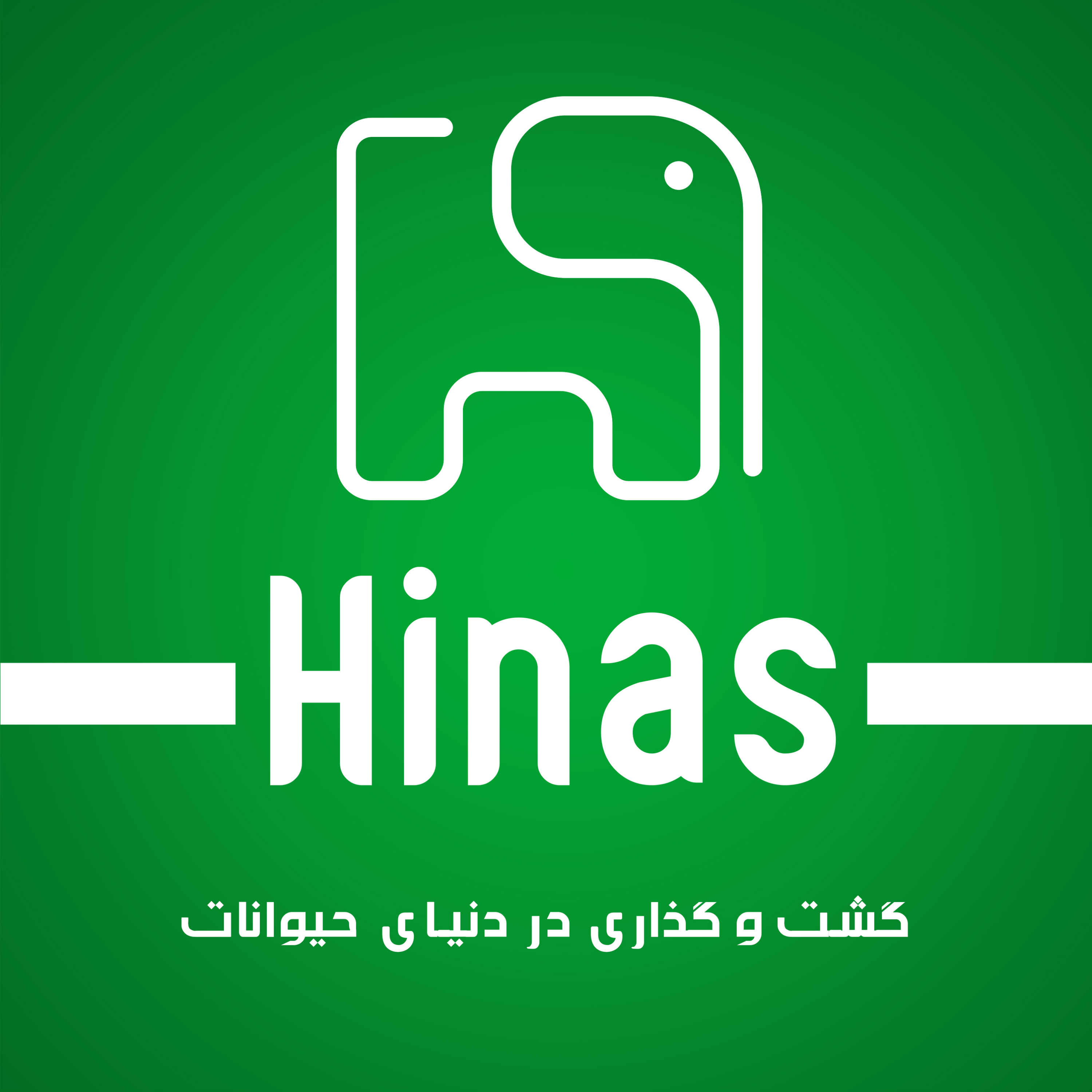 کاور هیناس