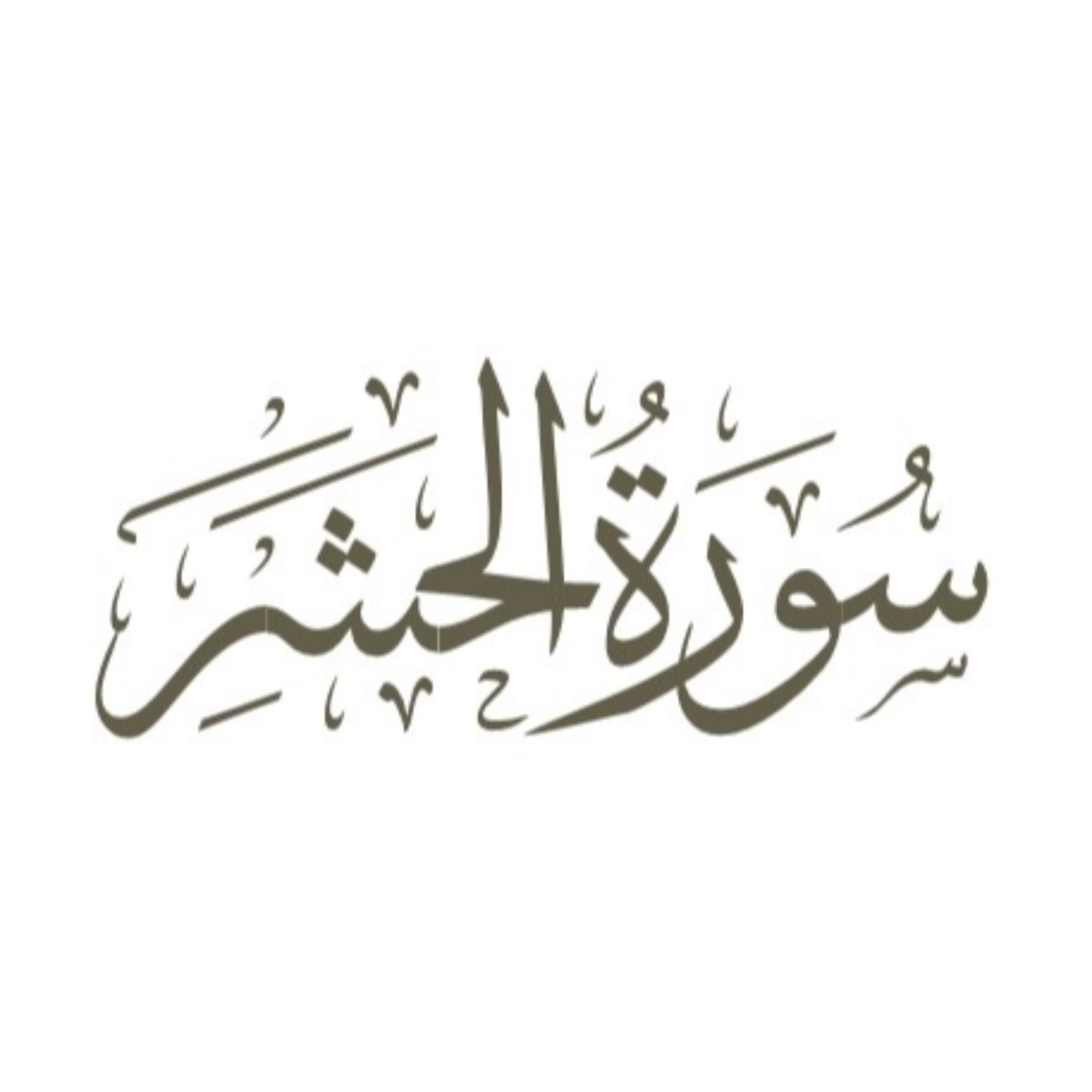 کاور توضیح لغوی ادبی سوره حشر