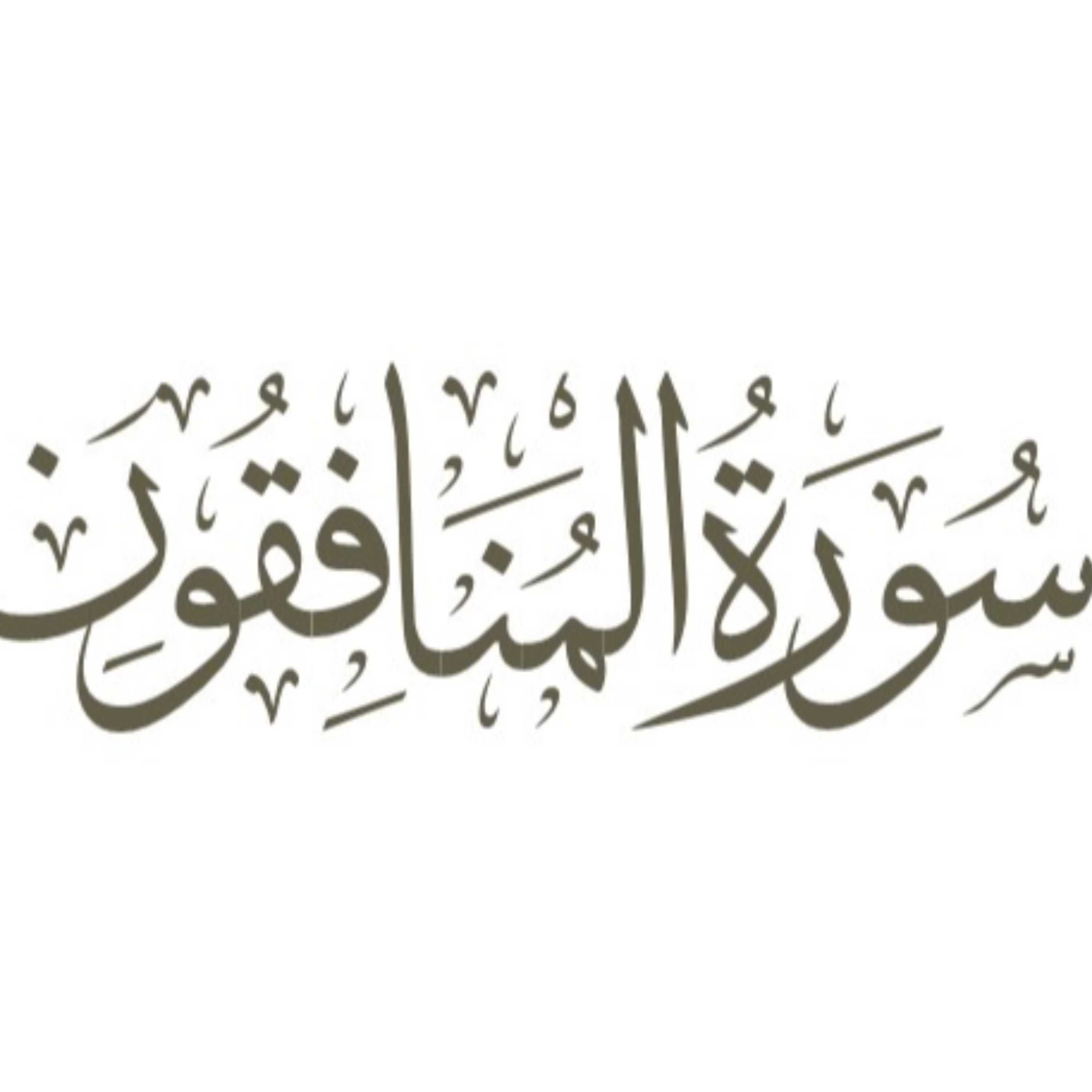 کاور توضیح لغوی ادبی سوره منافقون
