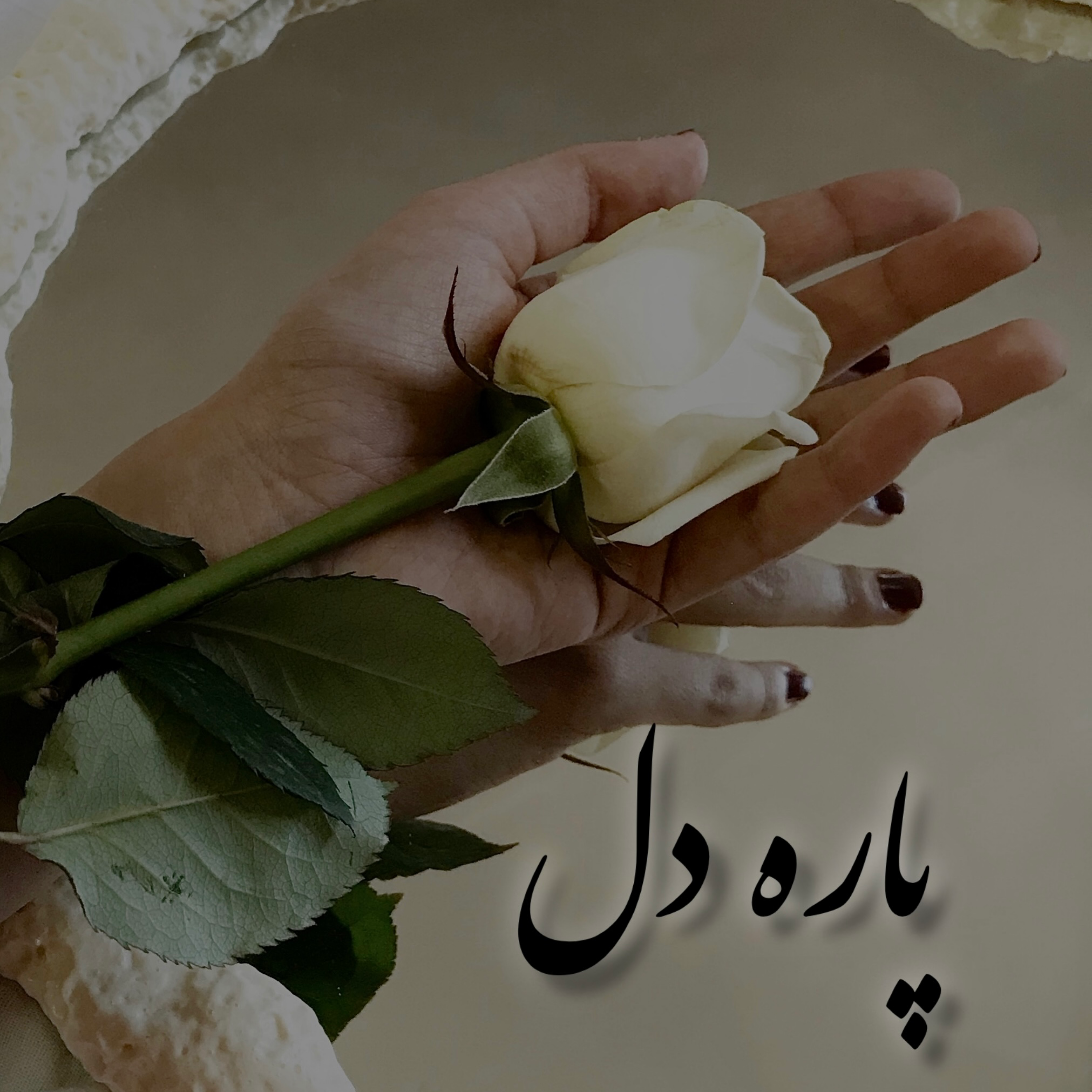 کاور پاره دل
