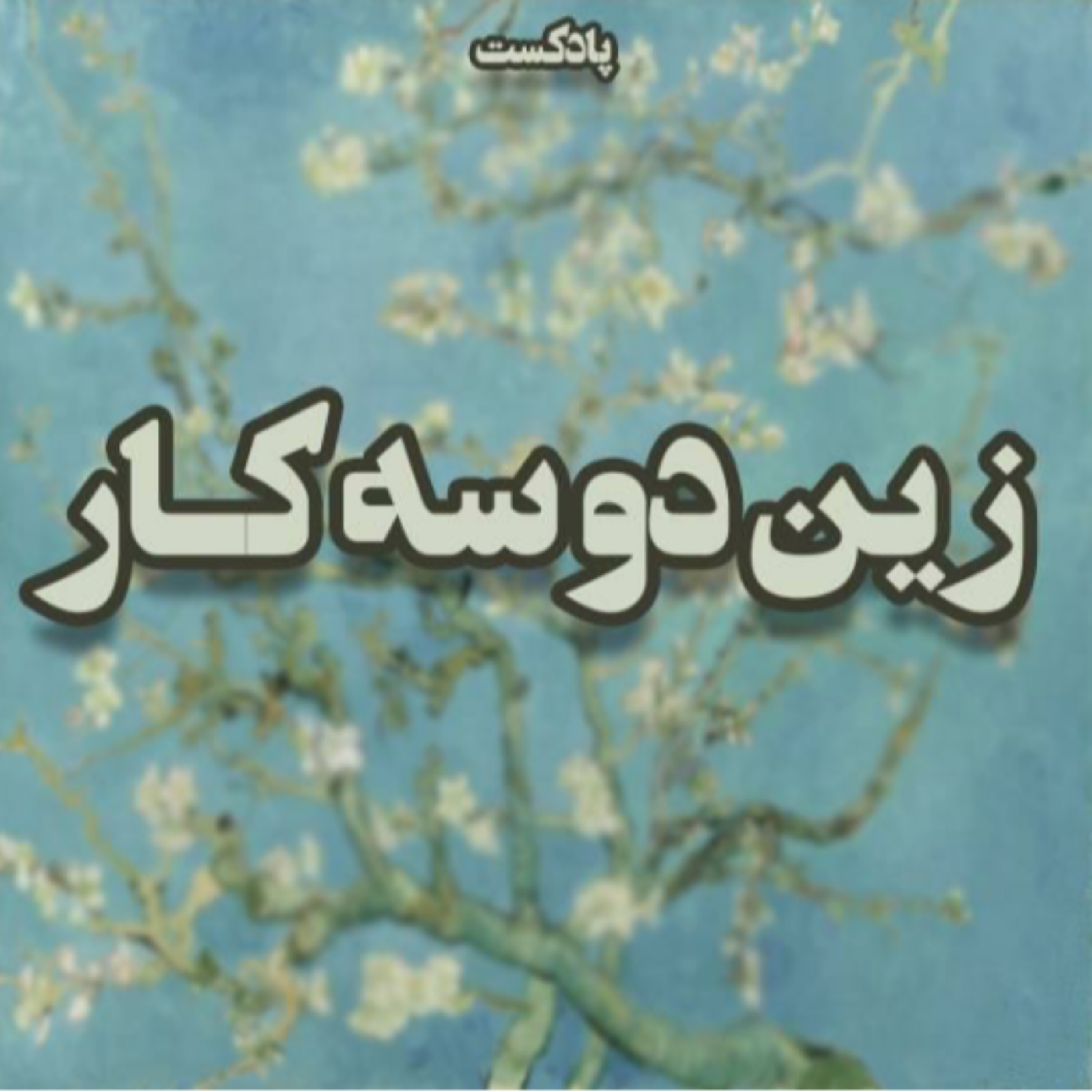 کاور زین دو سه کار