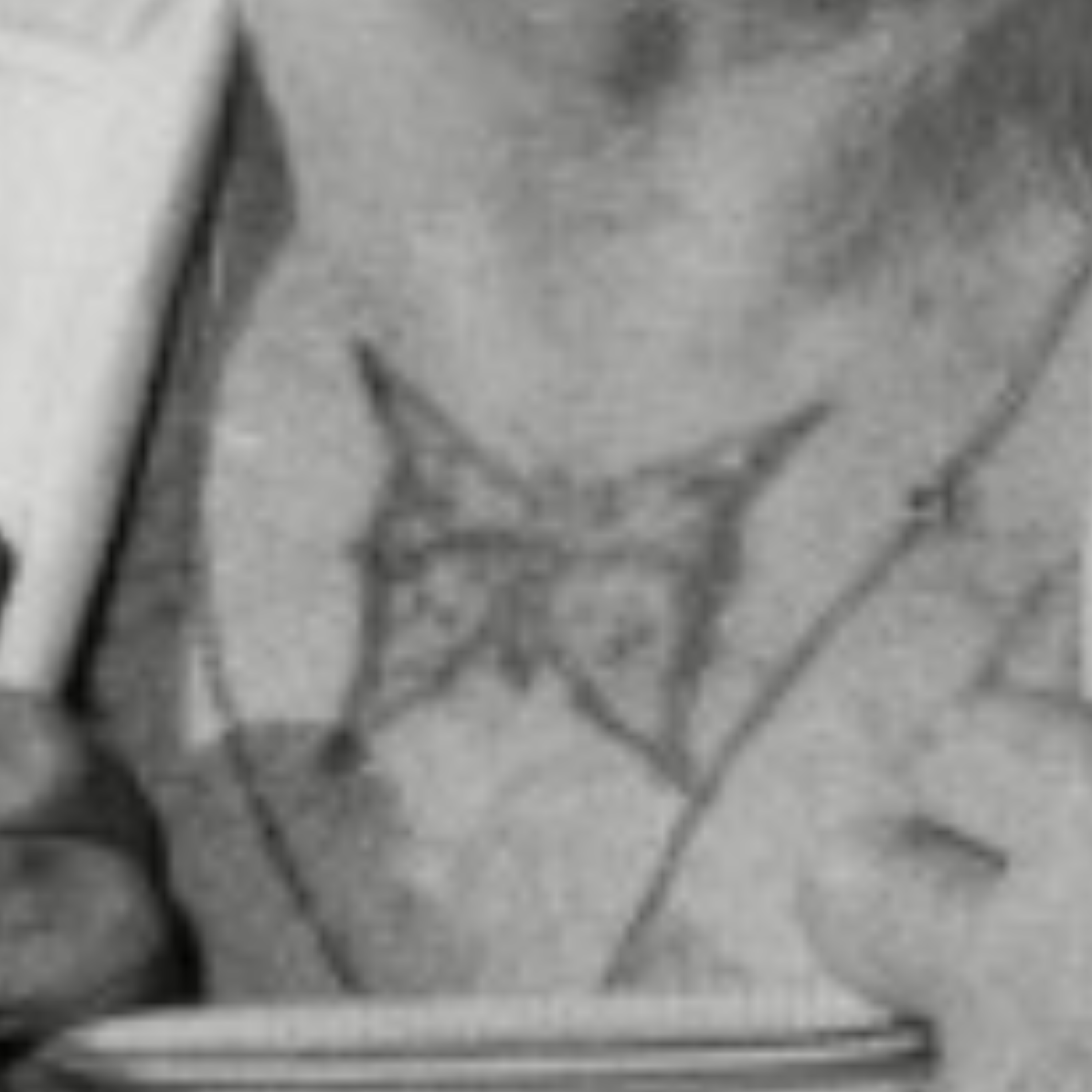 کاور Papillon