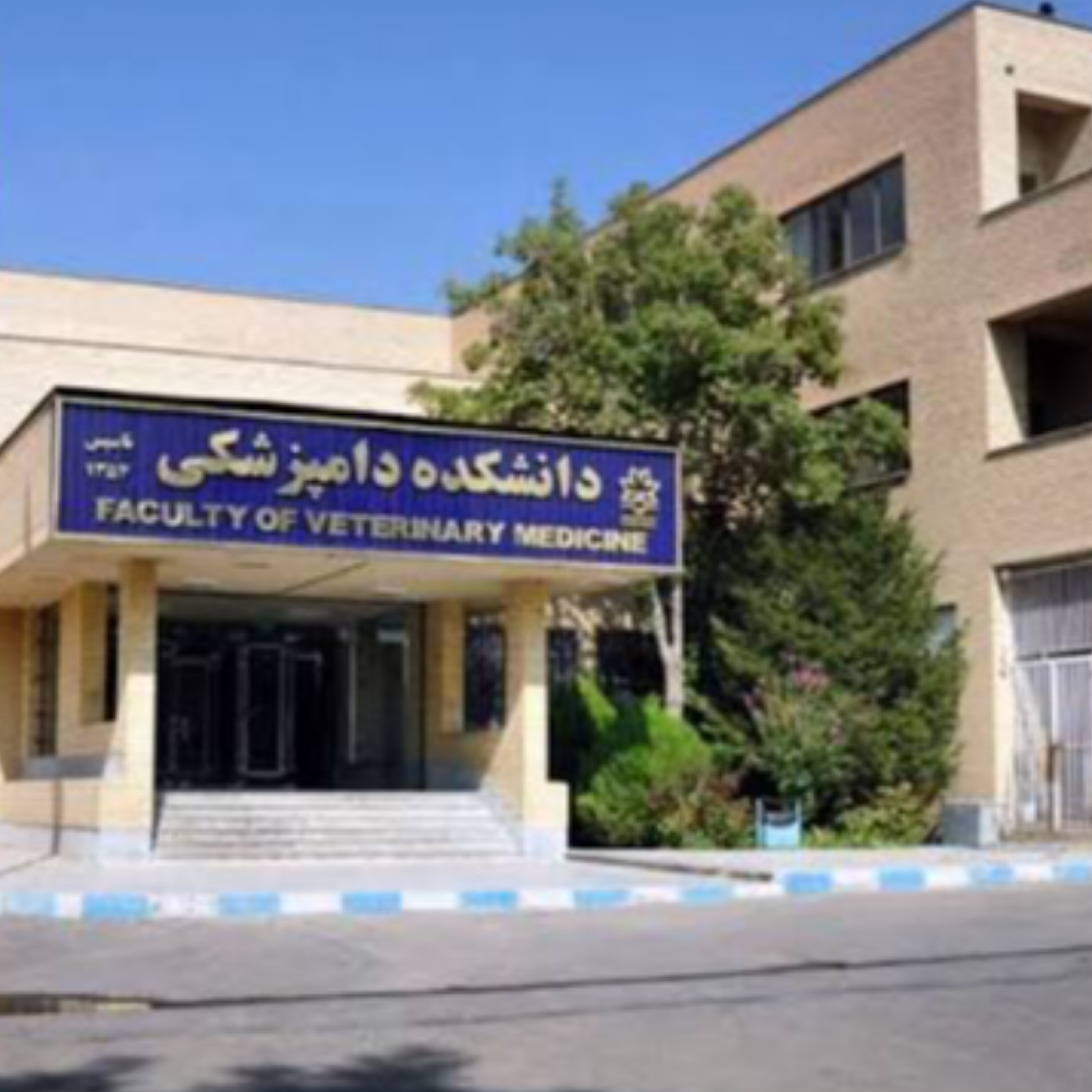 کاور دامپزشکان جوان