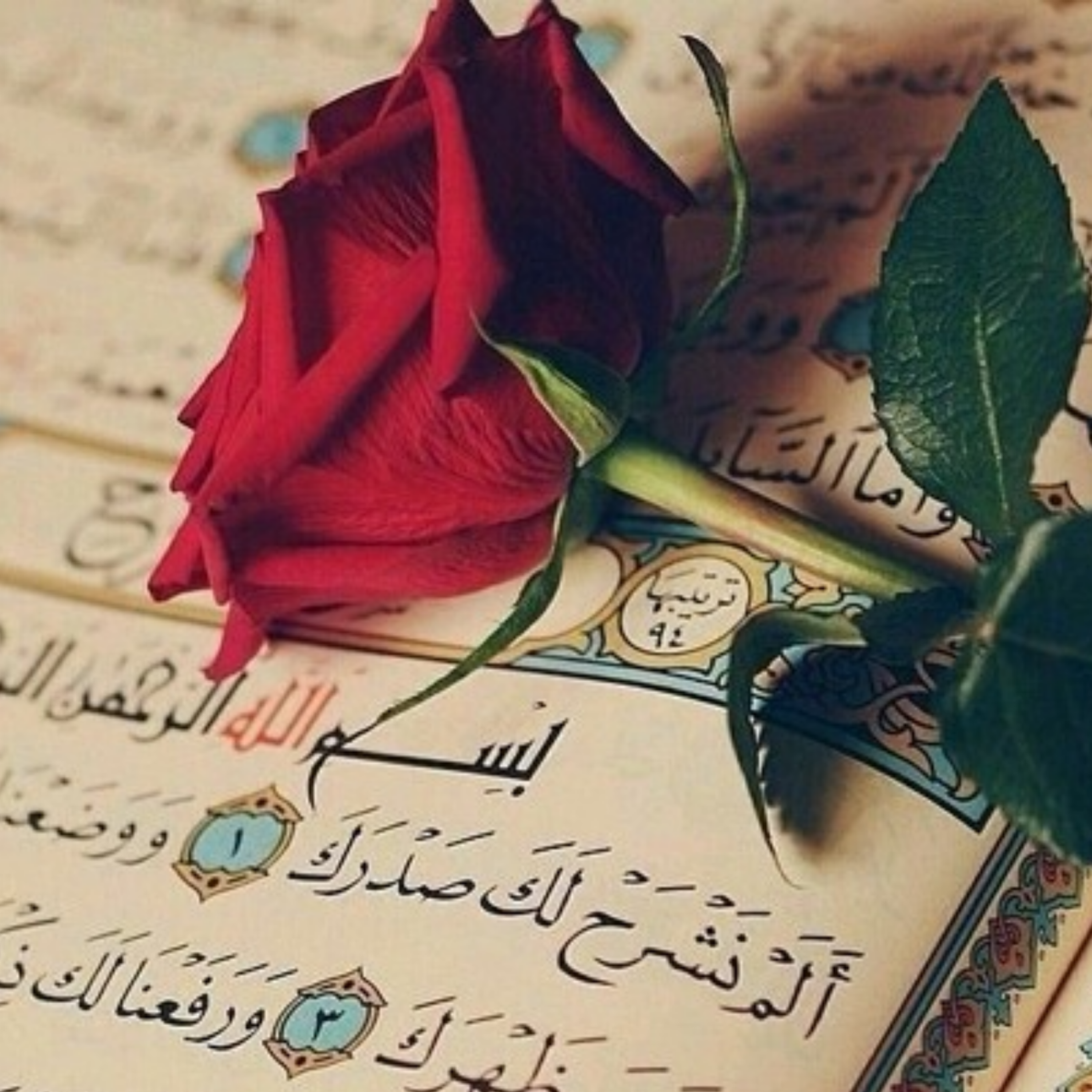 کاور ًقرآن کریم به زبان انگلیسی
