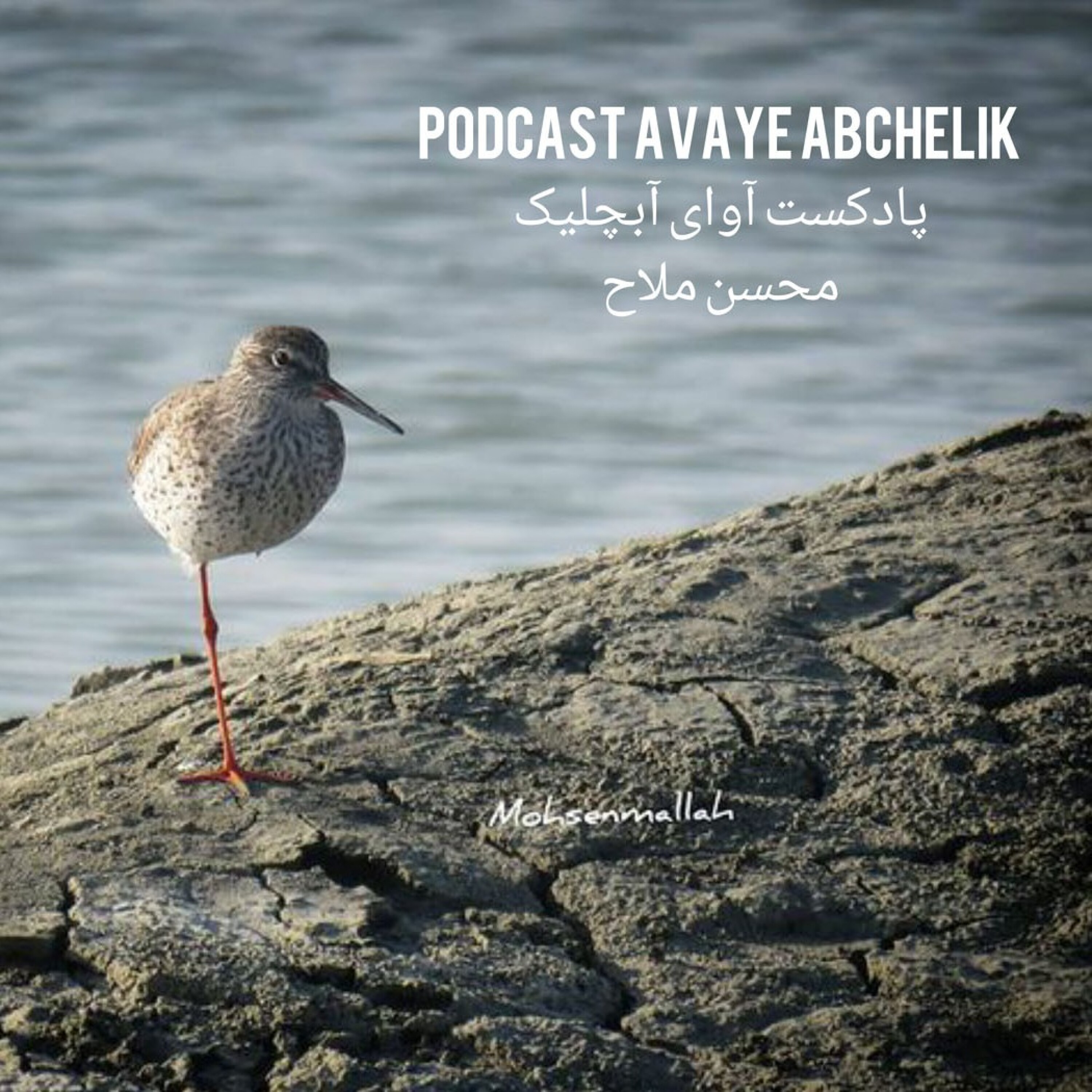 کاور آوای آبچلیک