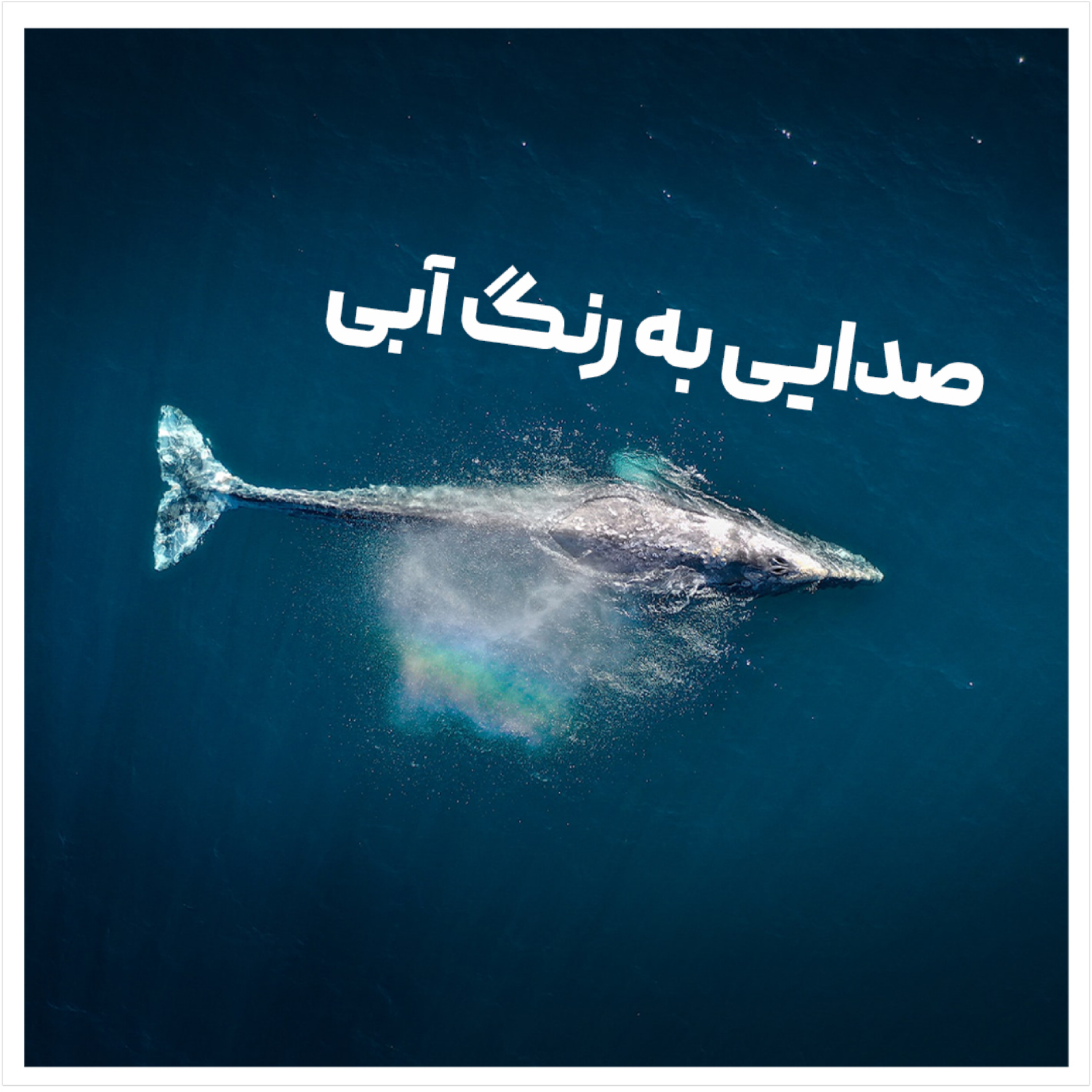 کاور صدایی به رنگ آبی