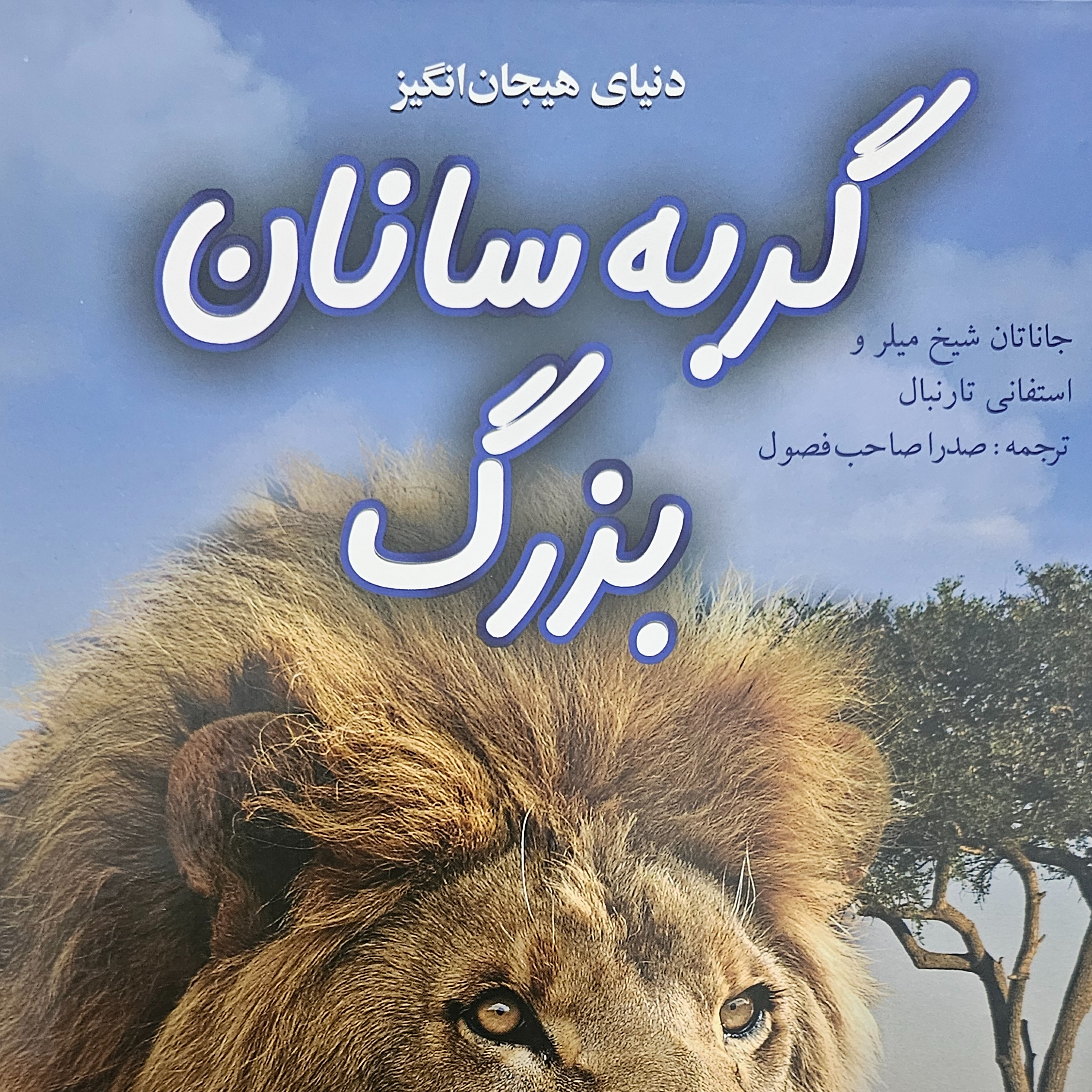 کاور گربه سانان بزرگ