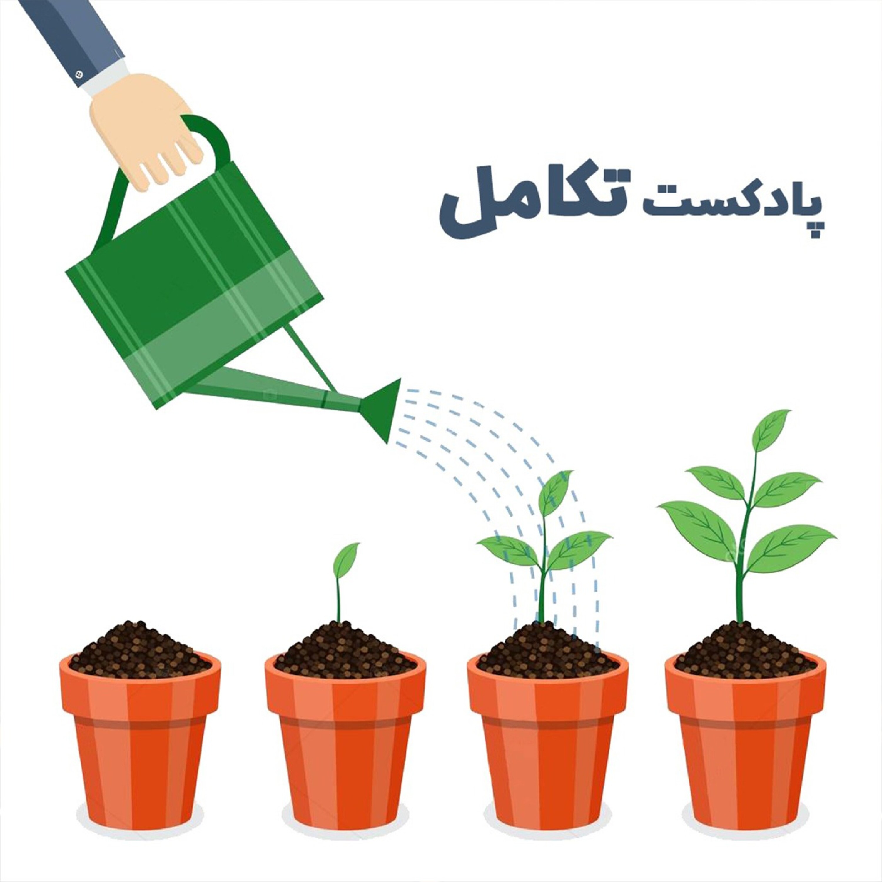 تکامل