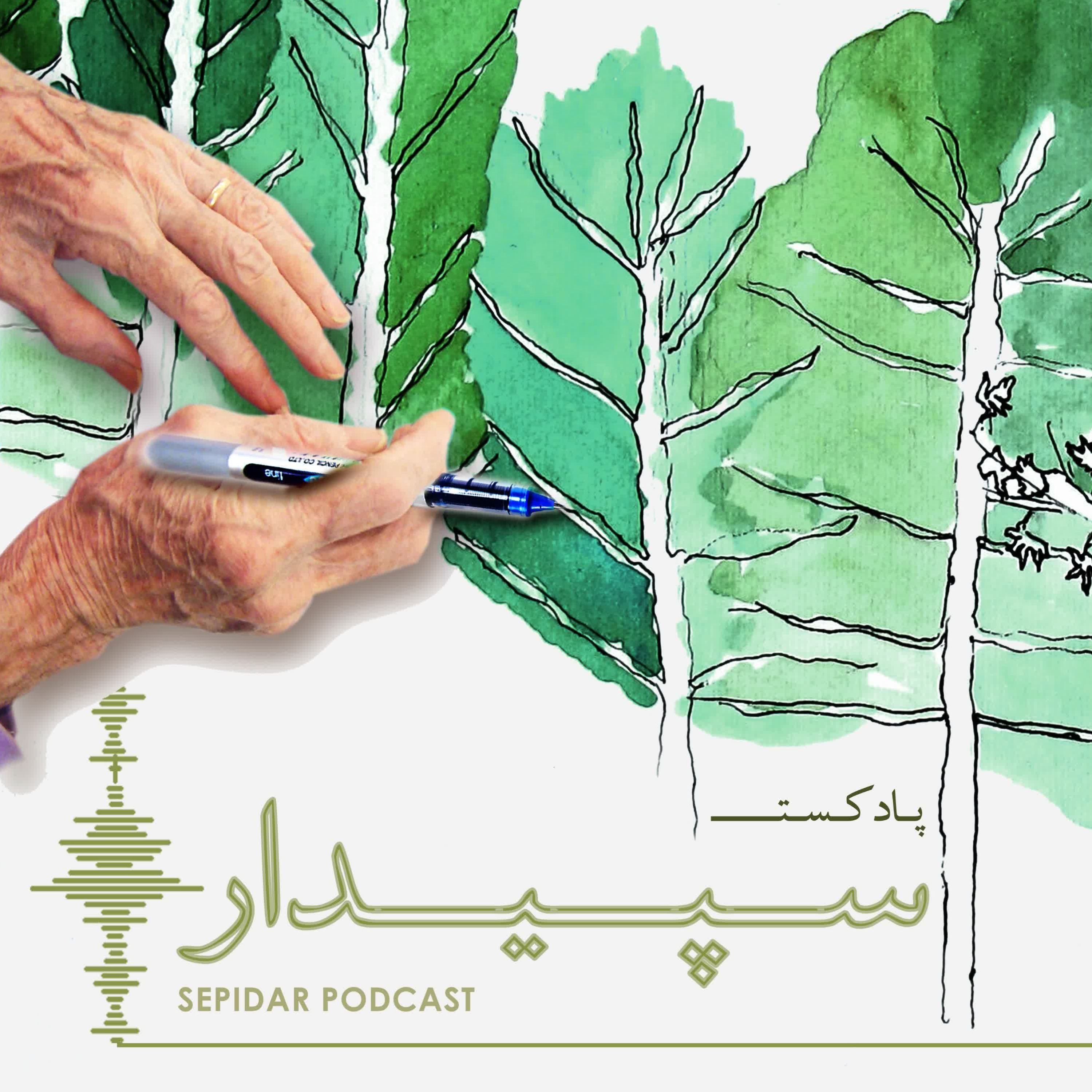 کاور سپیدار