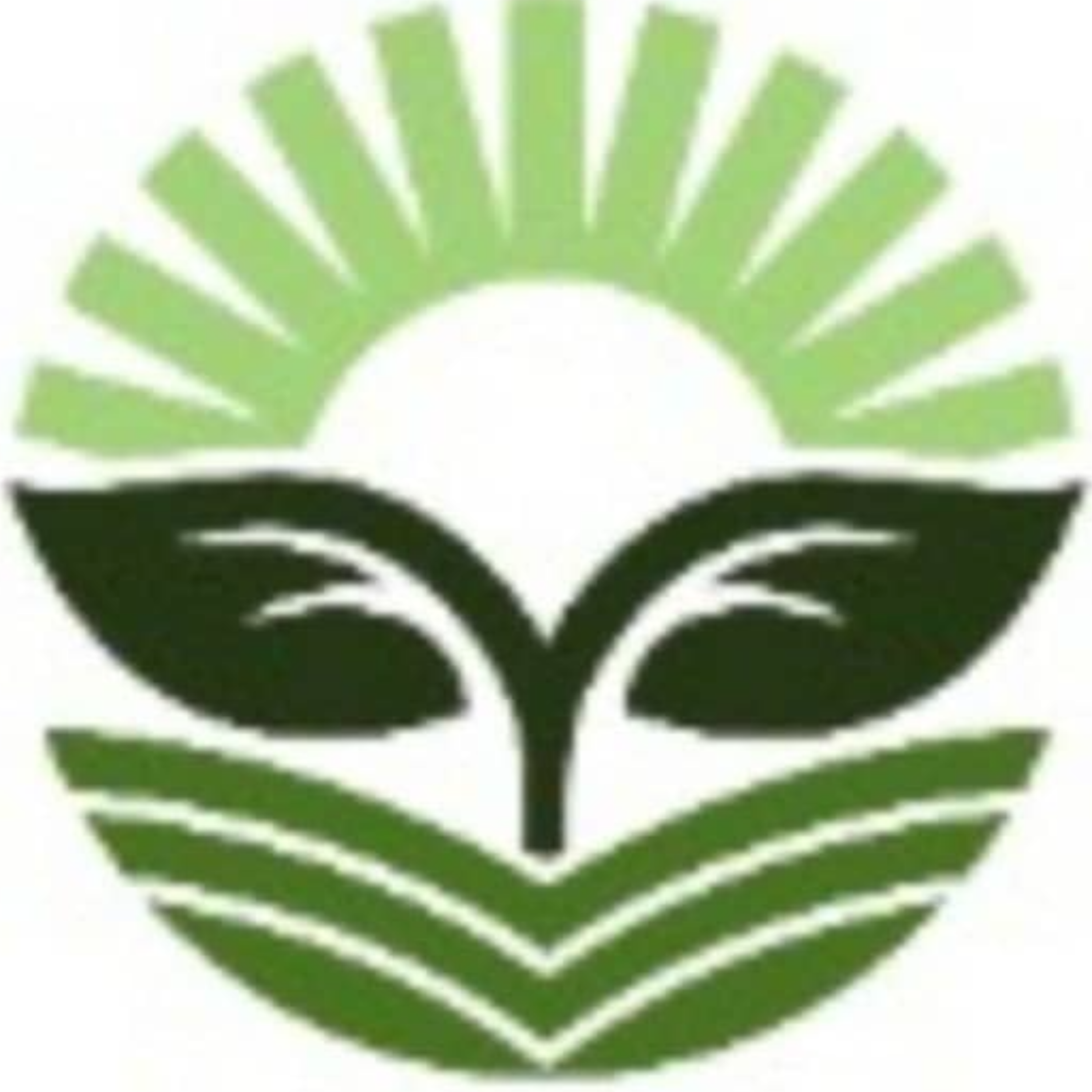 کاور مسیر رشدمن