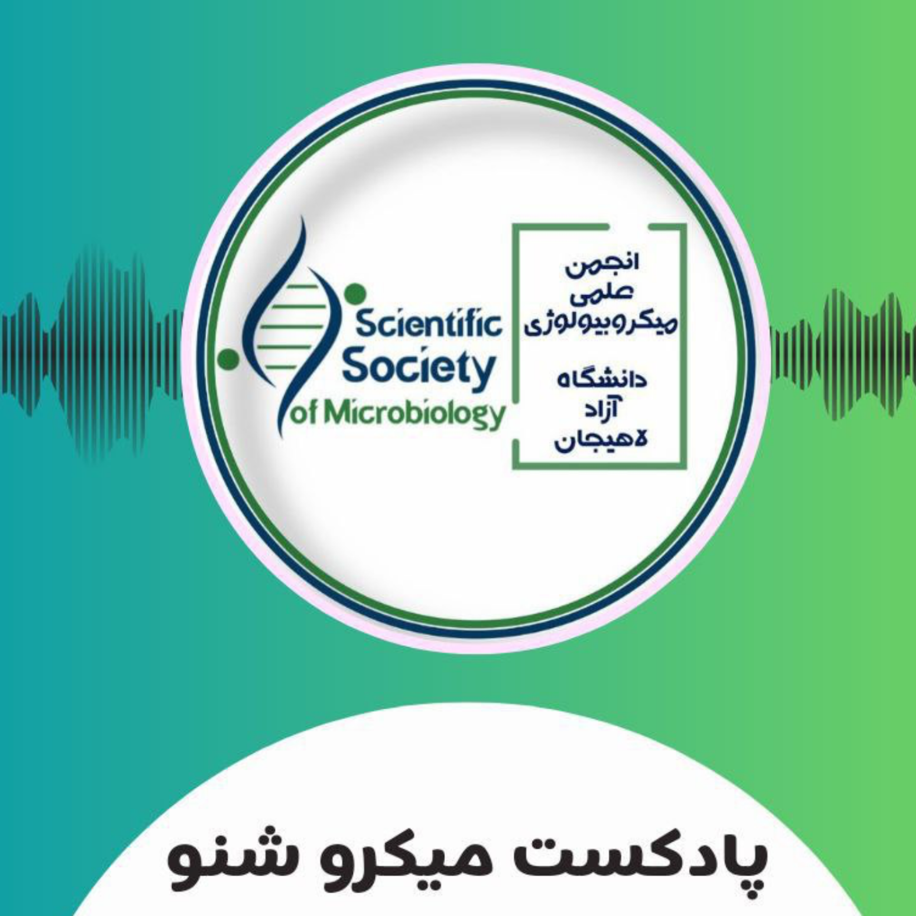 کاور میکرو شنو