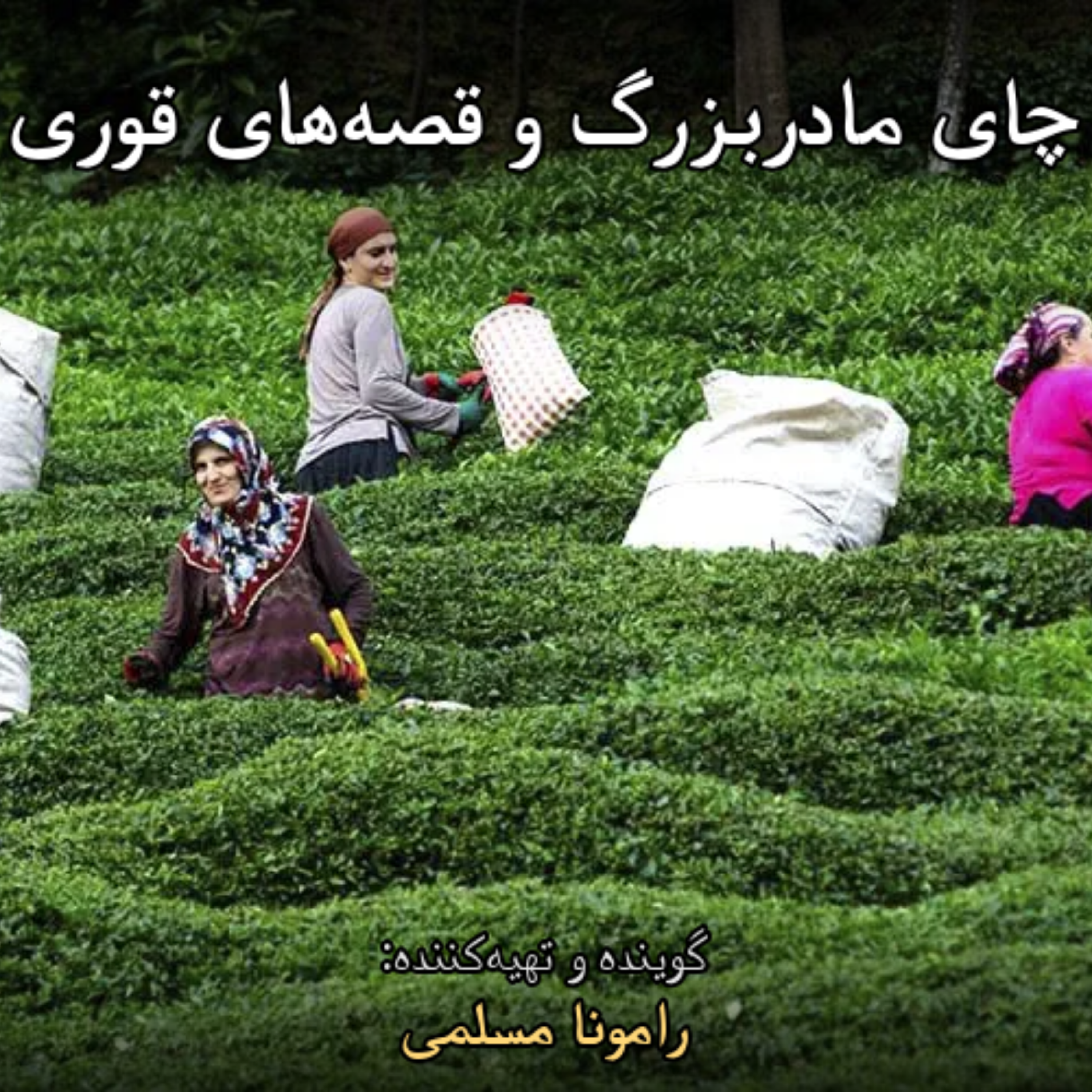 کاور چای مادربزرگ و قصه های قوری