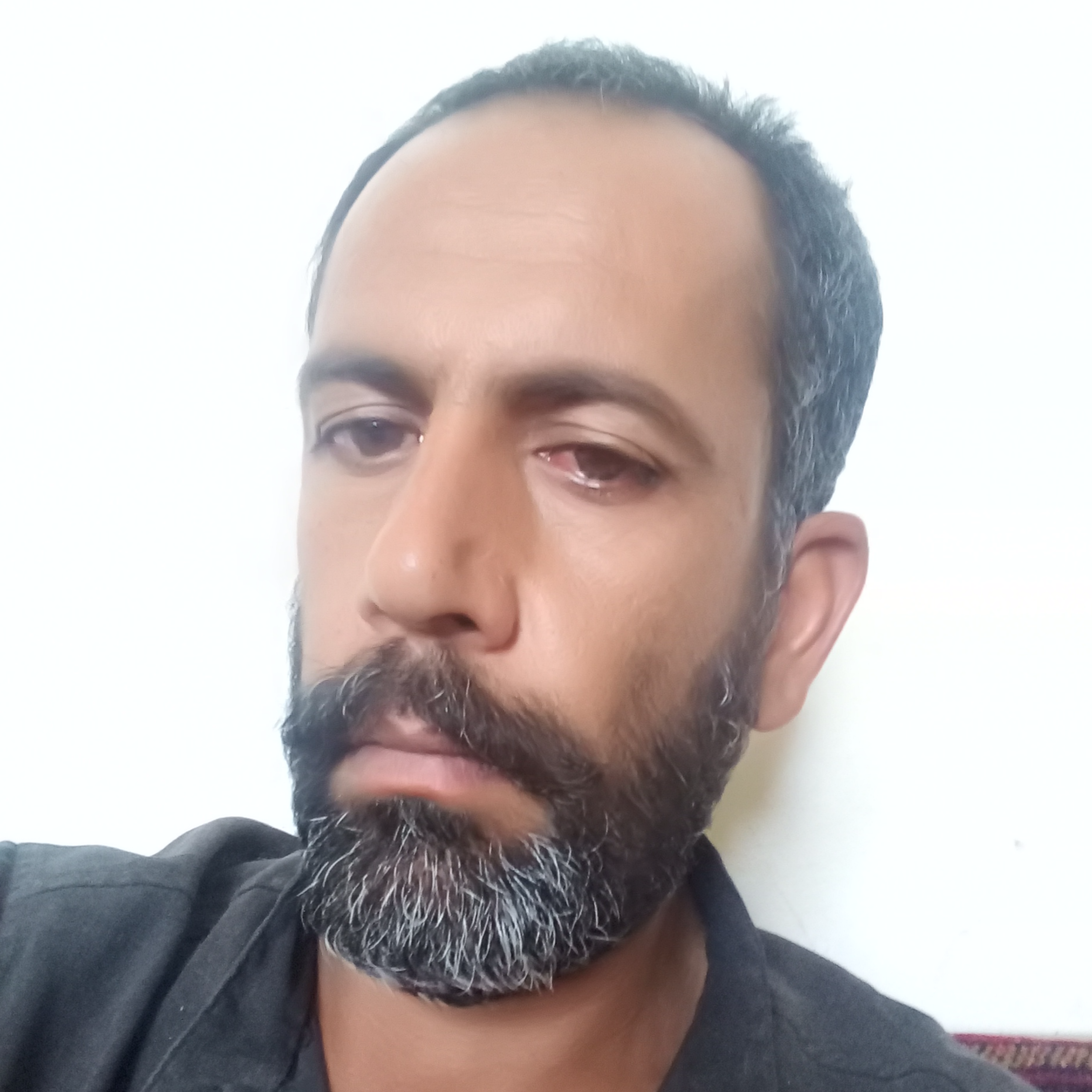کاور moji ted