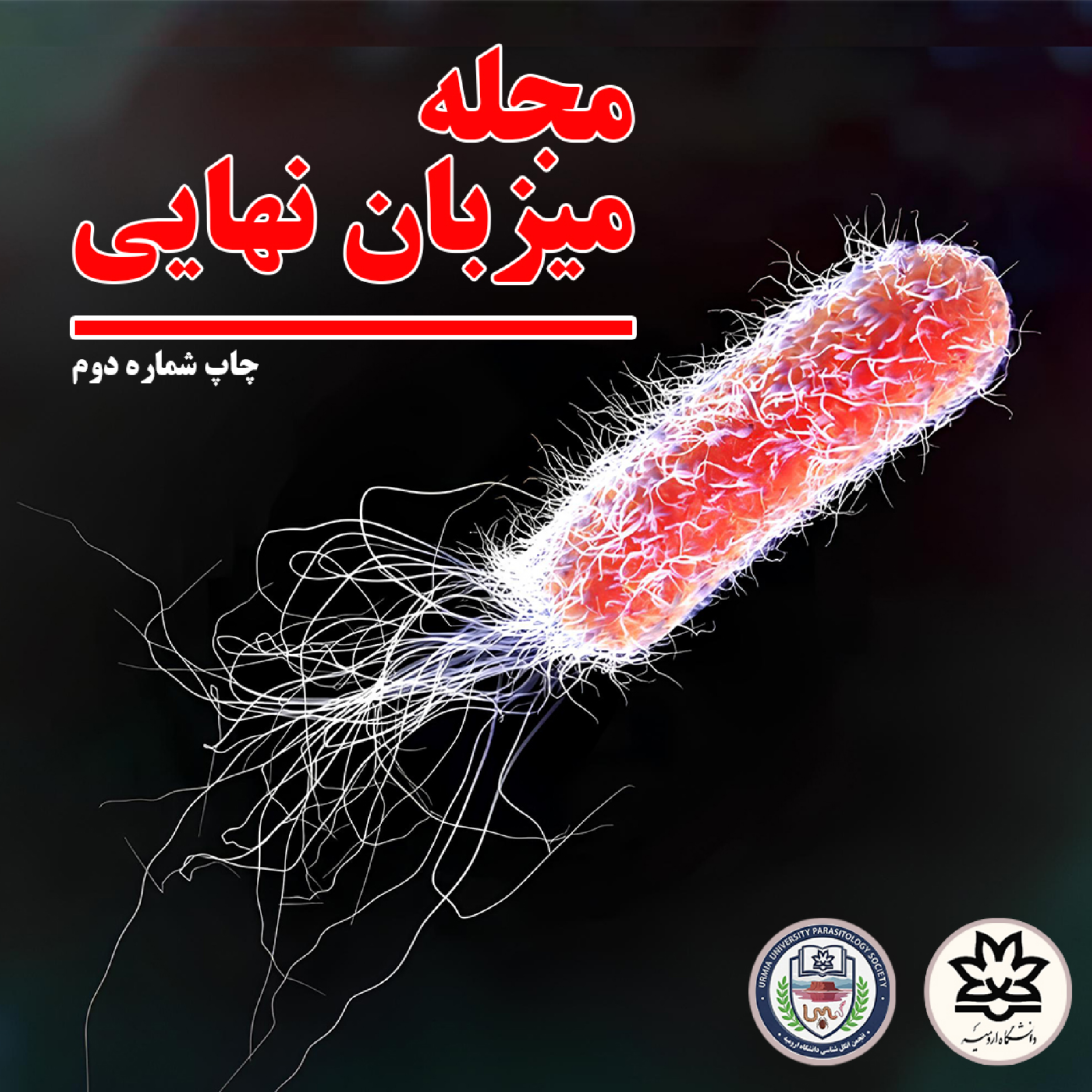 کاور نشریه علمی_فرهنگی میزبان نهایی (شماره دوم