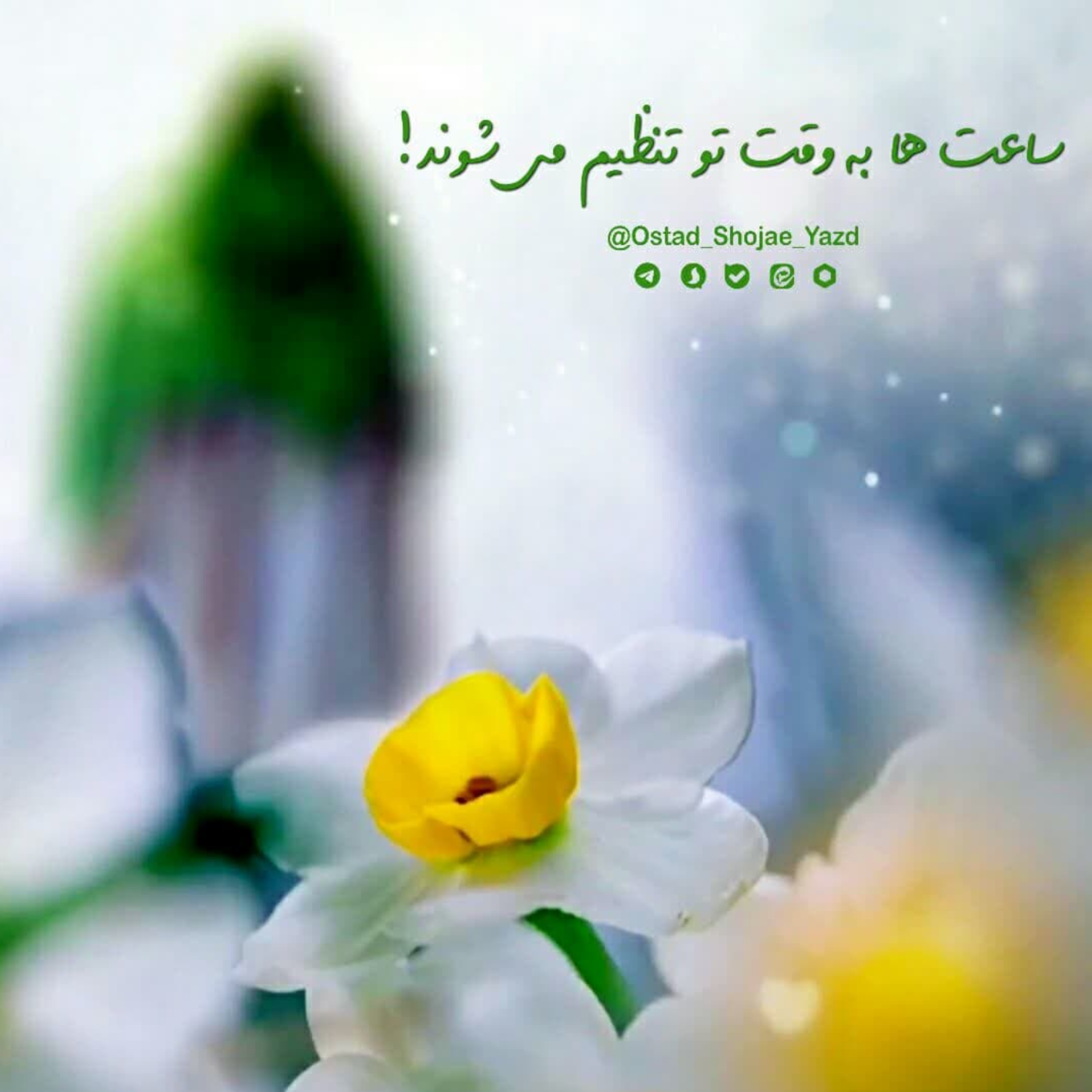 کاور امام زمان