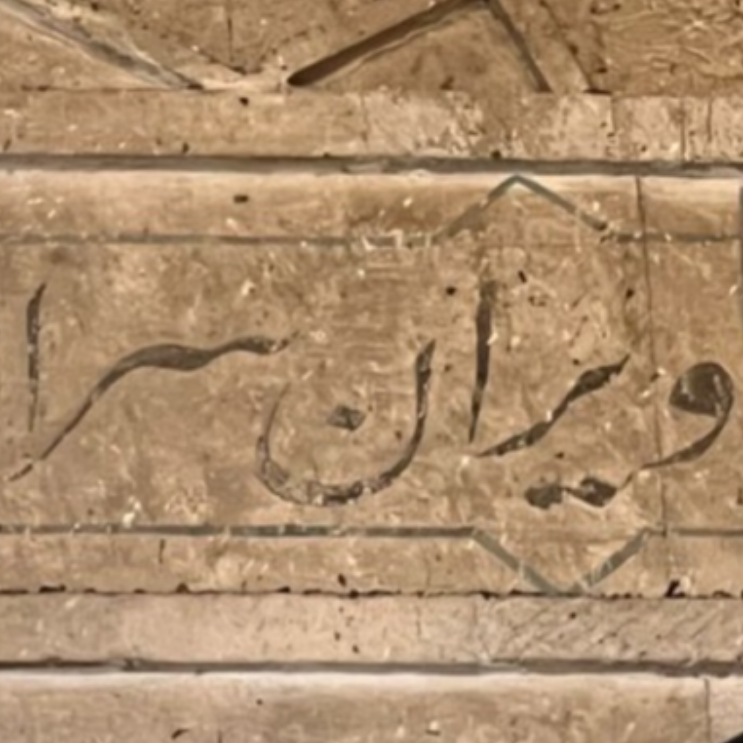 کاور ویرانسرا