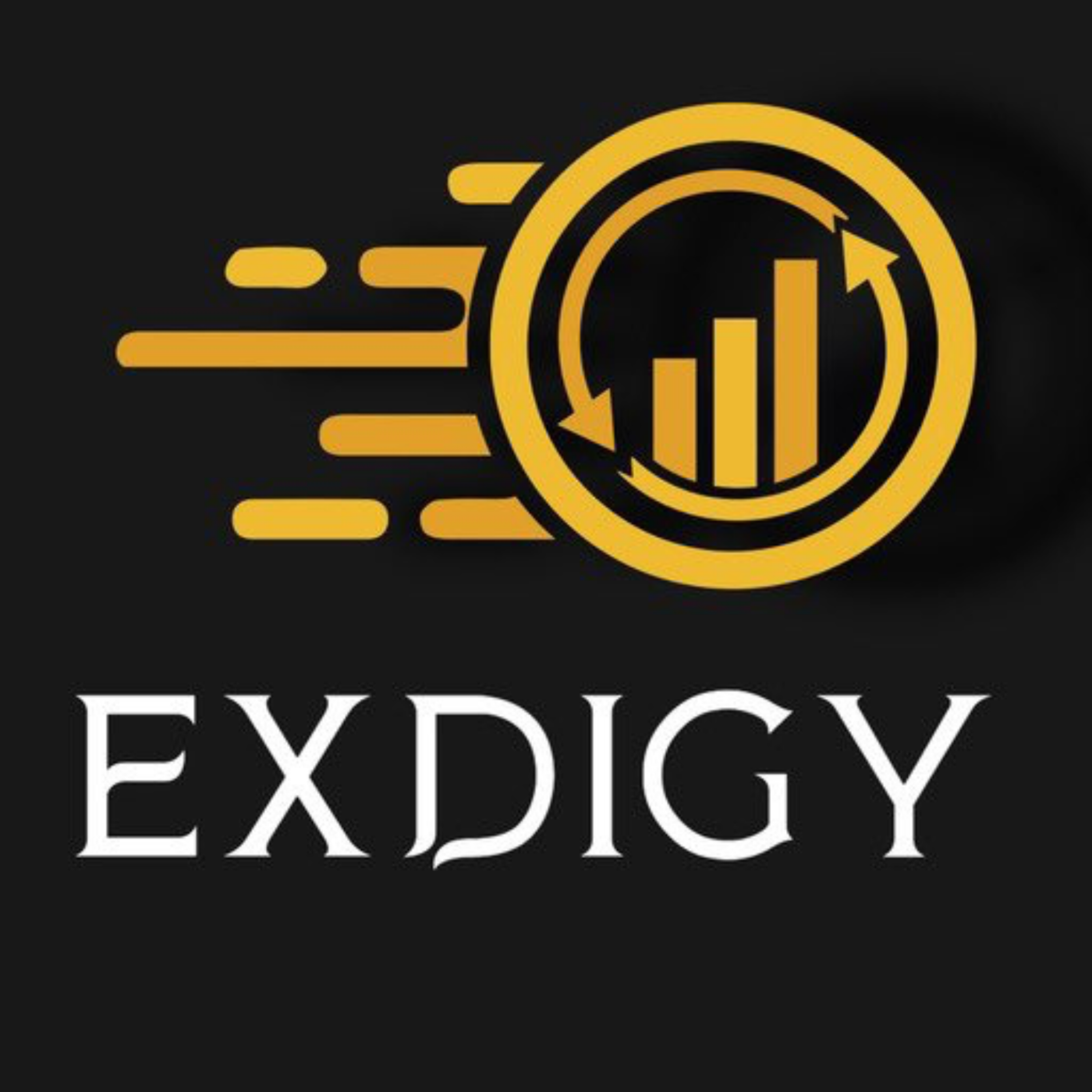 کاور Exdigy