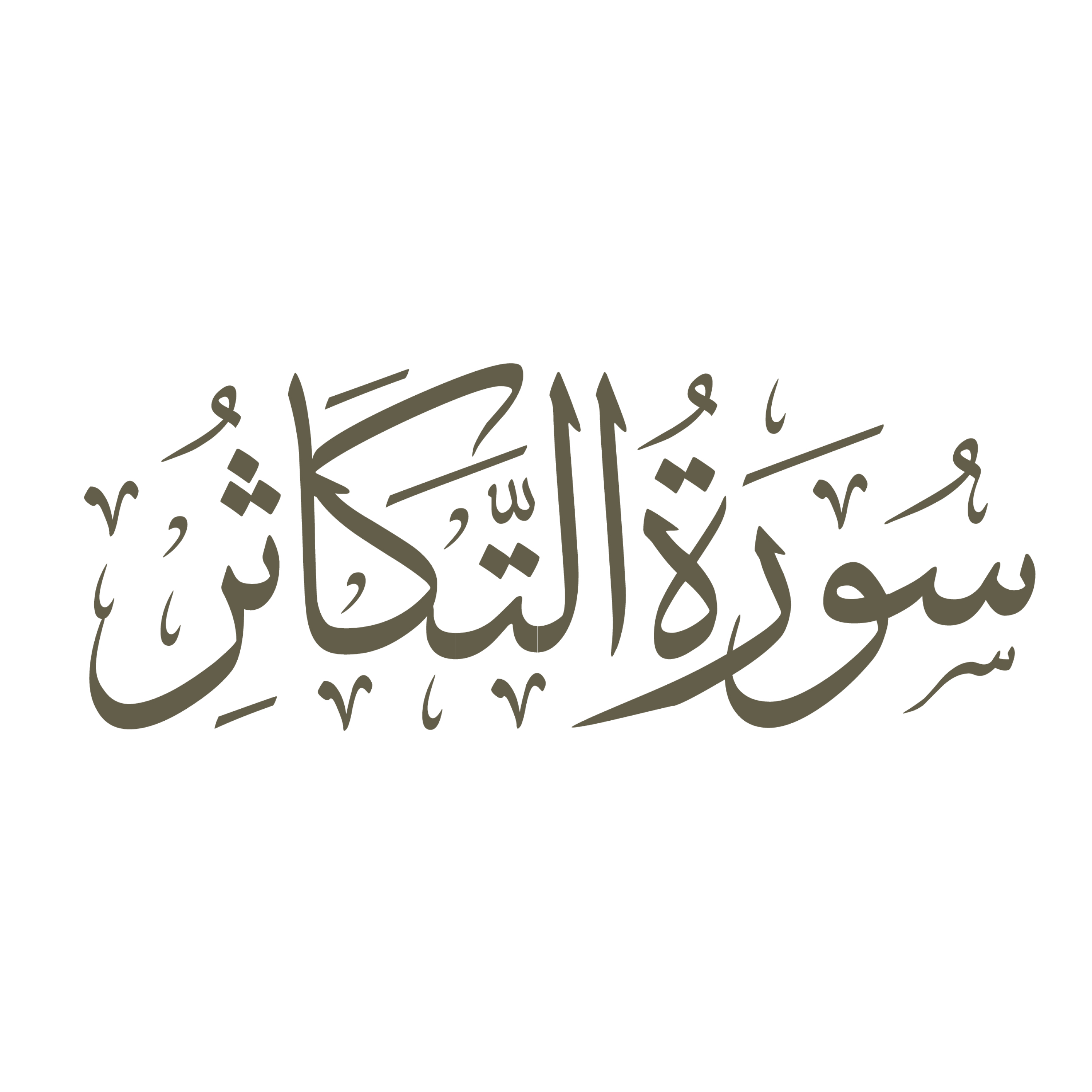 کاور تفسیر صوتی سوره تکاثر